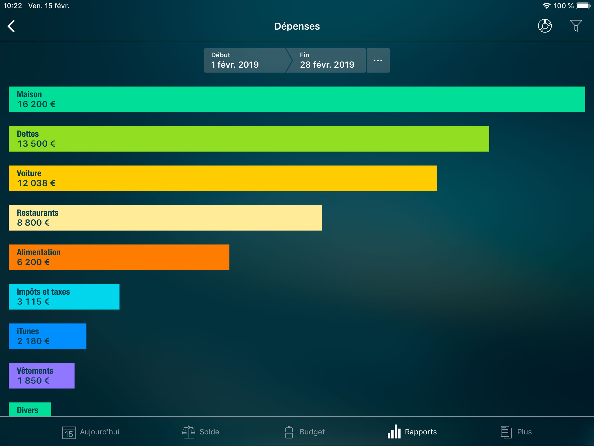 Money Pro - Rapport Recettes/Dépenses - iPad