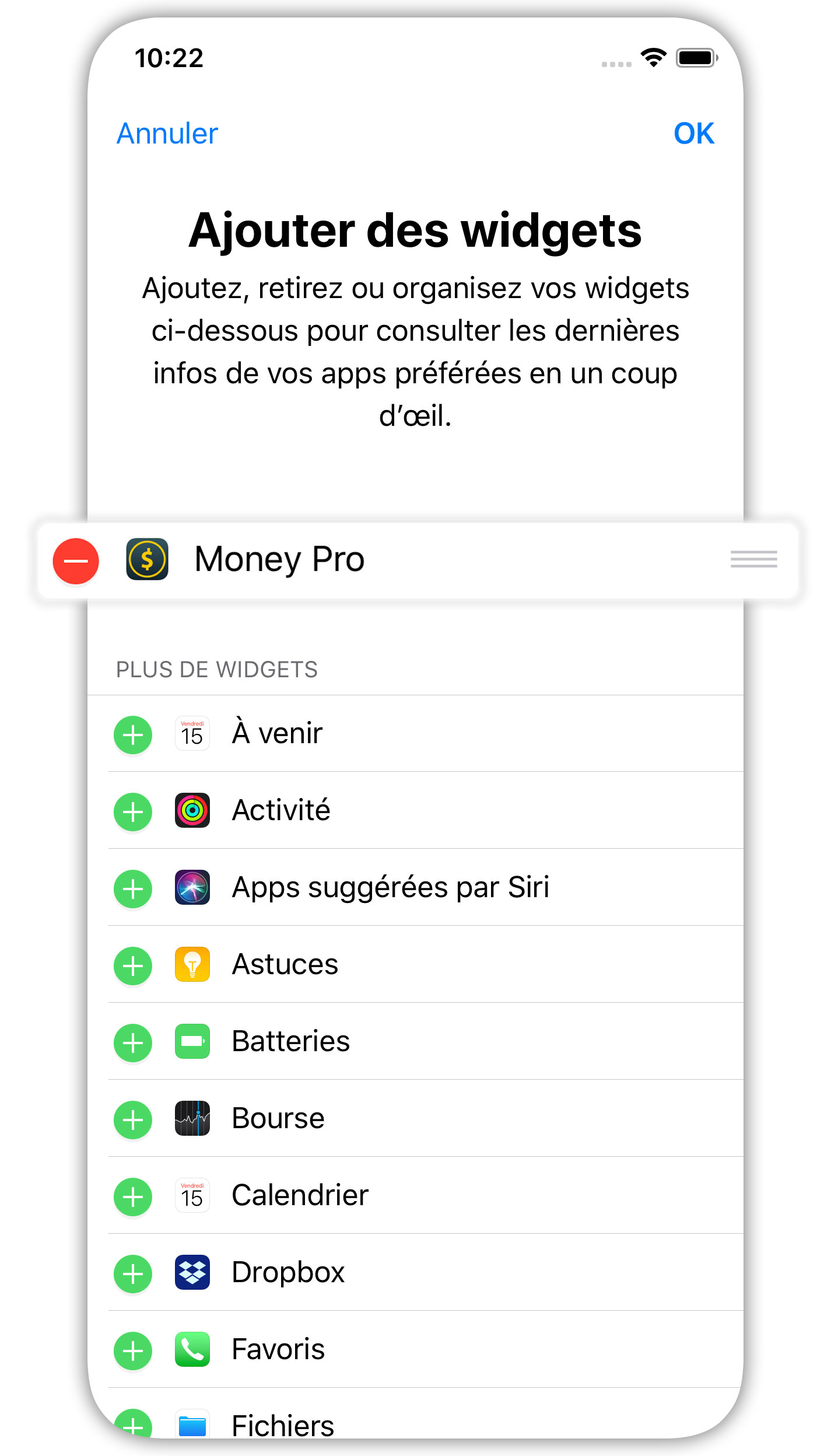 Money Pro - Widget Aujourd'hui - iPhone
