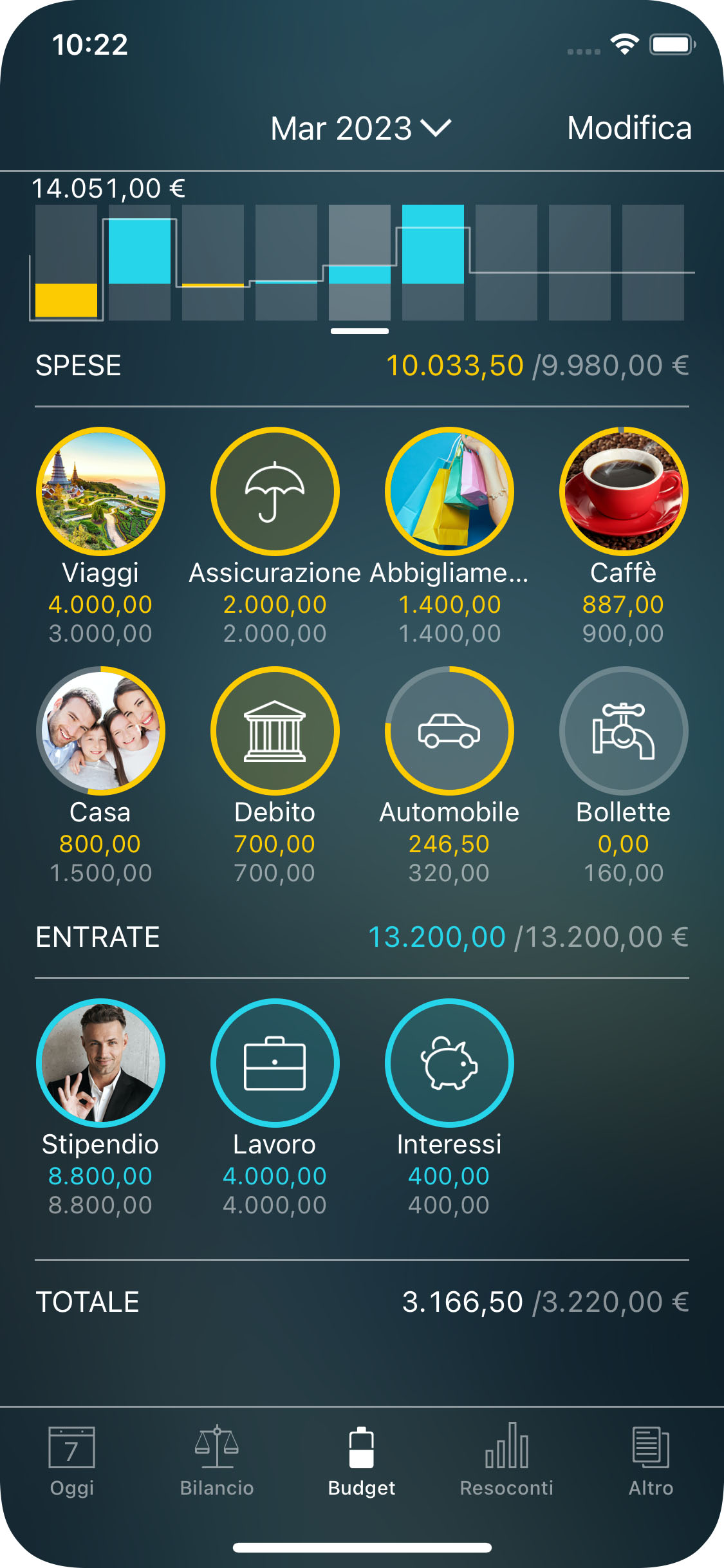 Money Pro - Monitoraggio di un budget (widget Budget) - iPhone