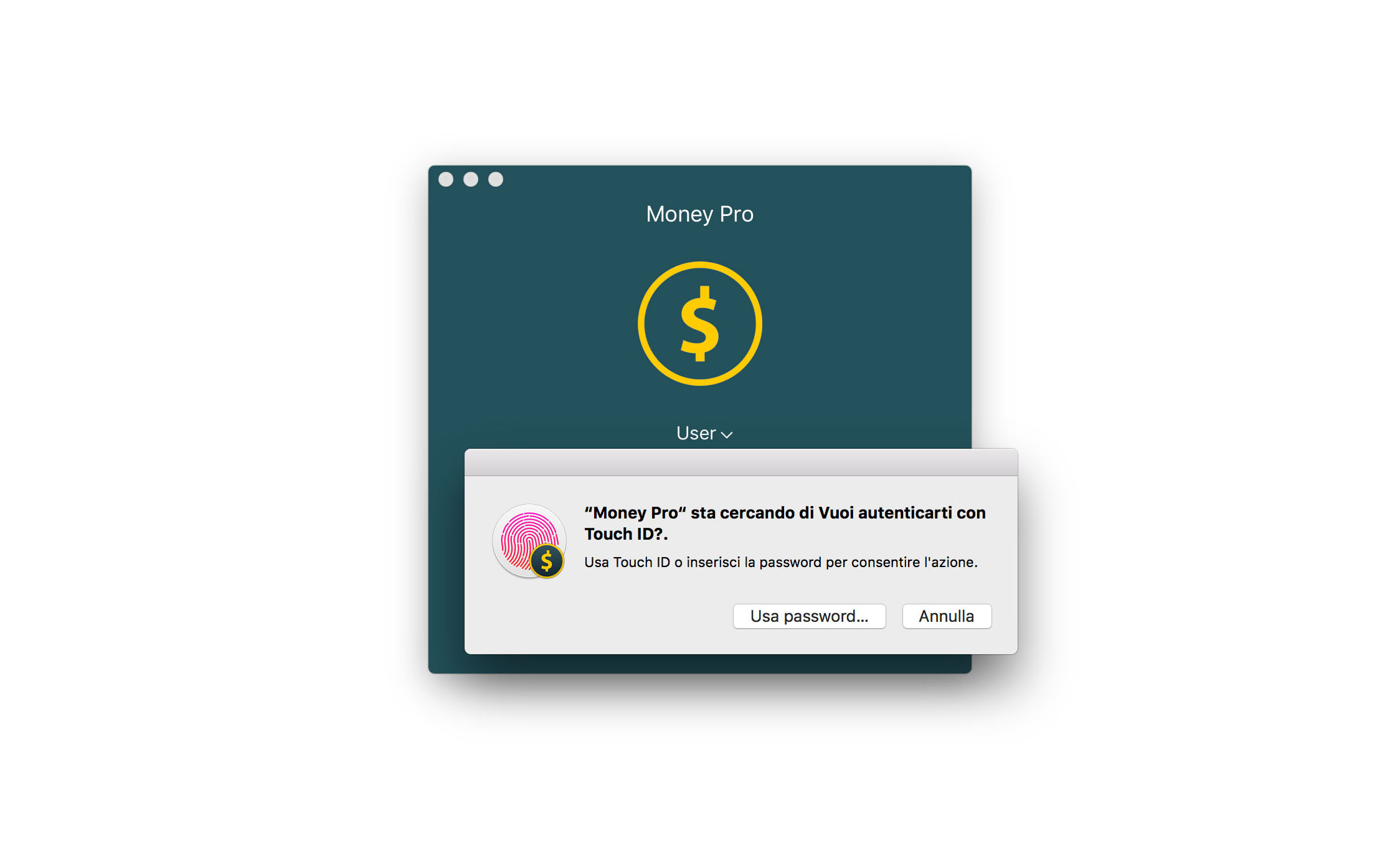 Money Pro - Touch ID (Face ID) - Mac