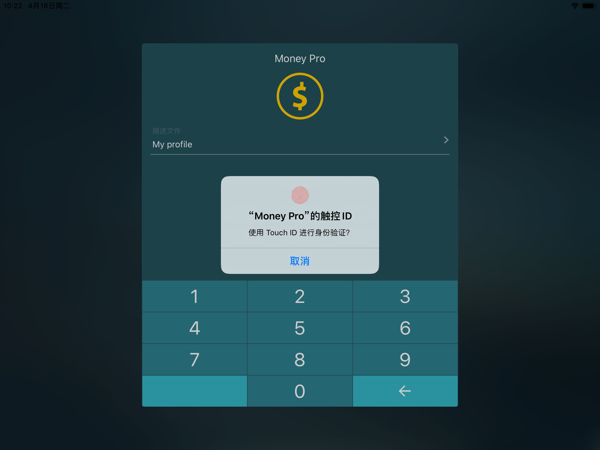 Money Pro for ipod download