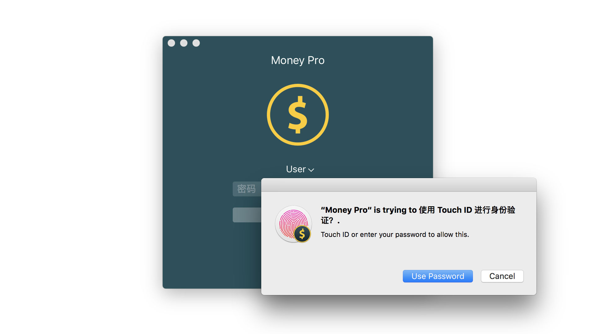 Money Pro - Touch ID (Face ID) - Mac