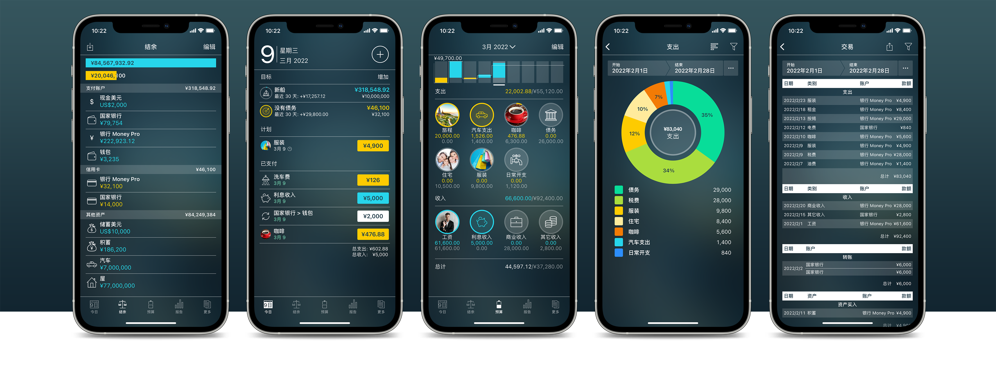 适用于 iPhone 和 iPad 的 Money Pro