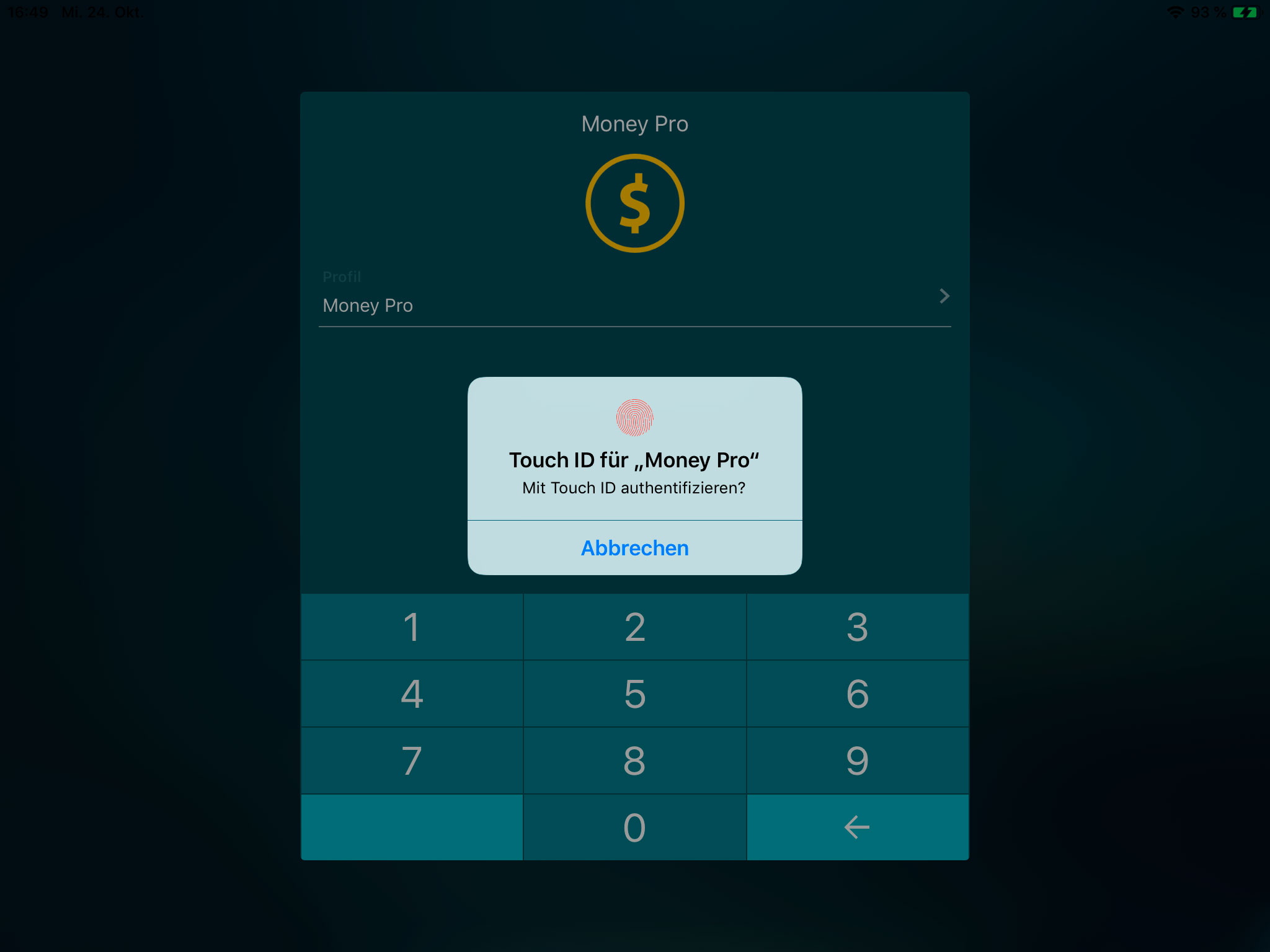 Money Pro - Touch ID / Face ID - iPad