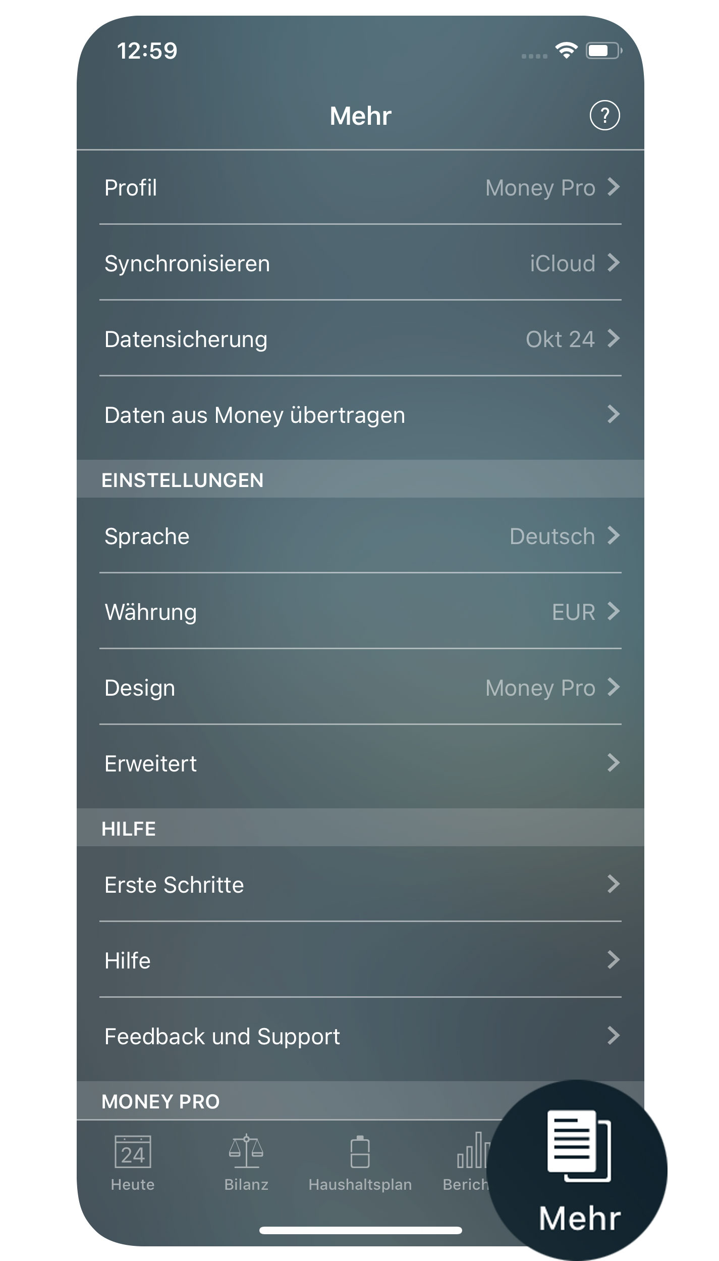 Money Pro - Mehr (Sicherungsdatei, Profile, Synchronisierung) - iPhone