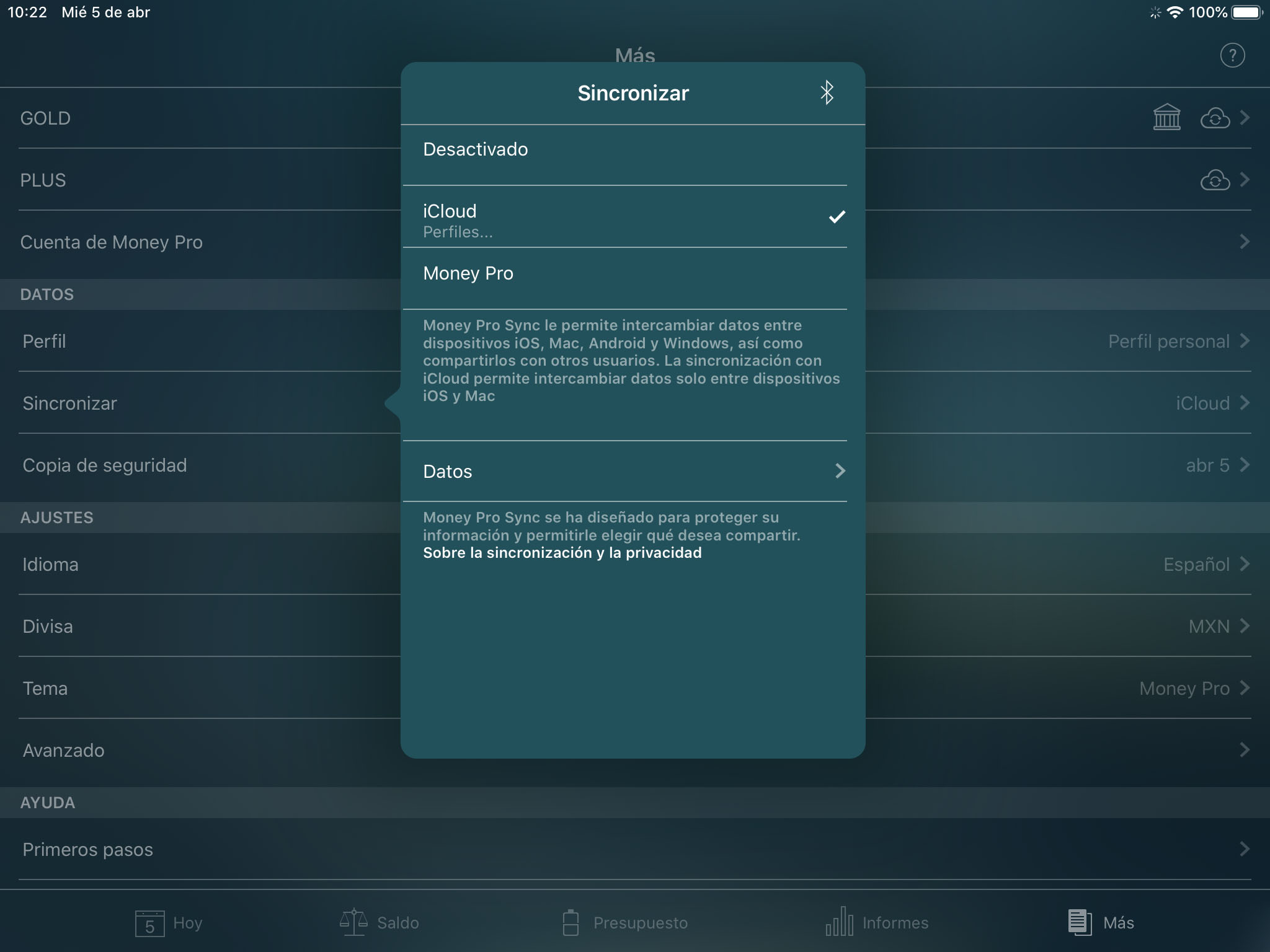 Money Pro - Sincronizar con iCloud (iOS, Mac) - iPad