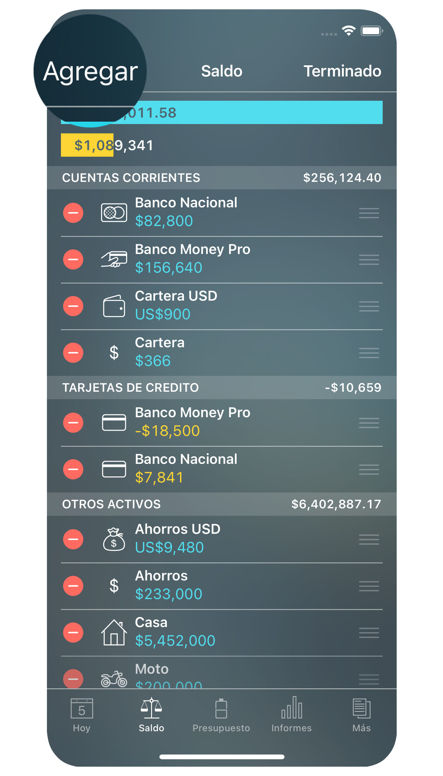 Money Pro - Cuentas (Saldo) - Agregar - iPhone
