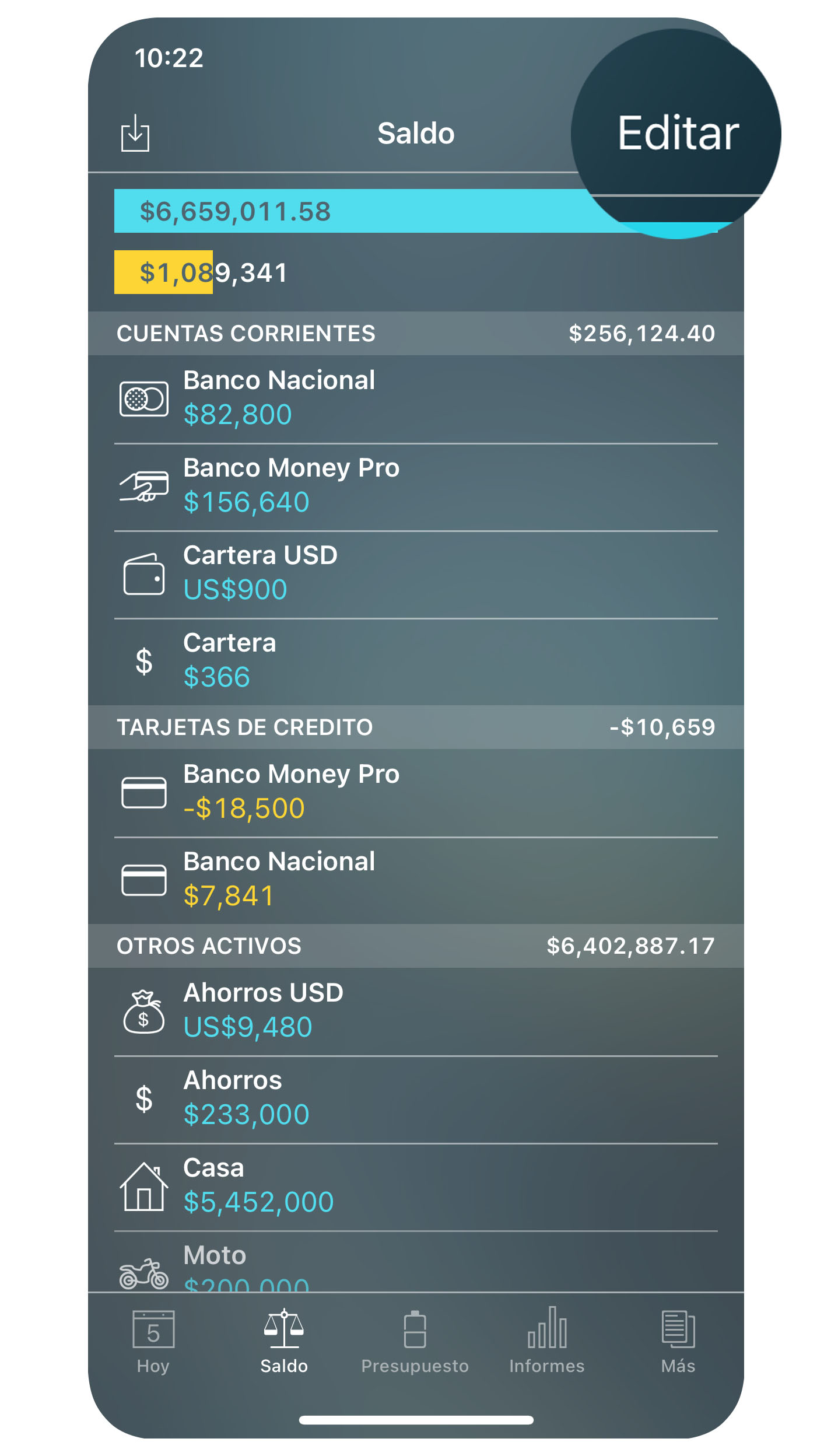 Money Pro - Cuentas (Saldo) - Editar - iPhone