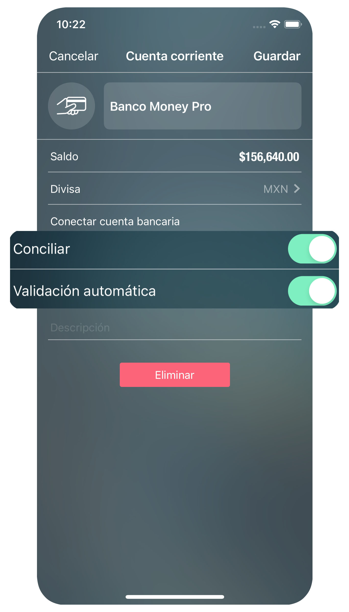 Money Pro - Reconciliación de las cuenta - iPhone