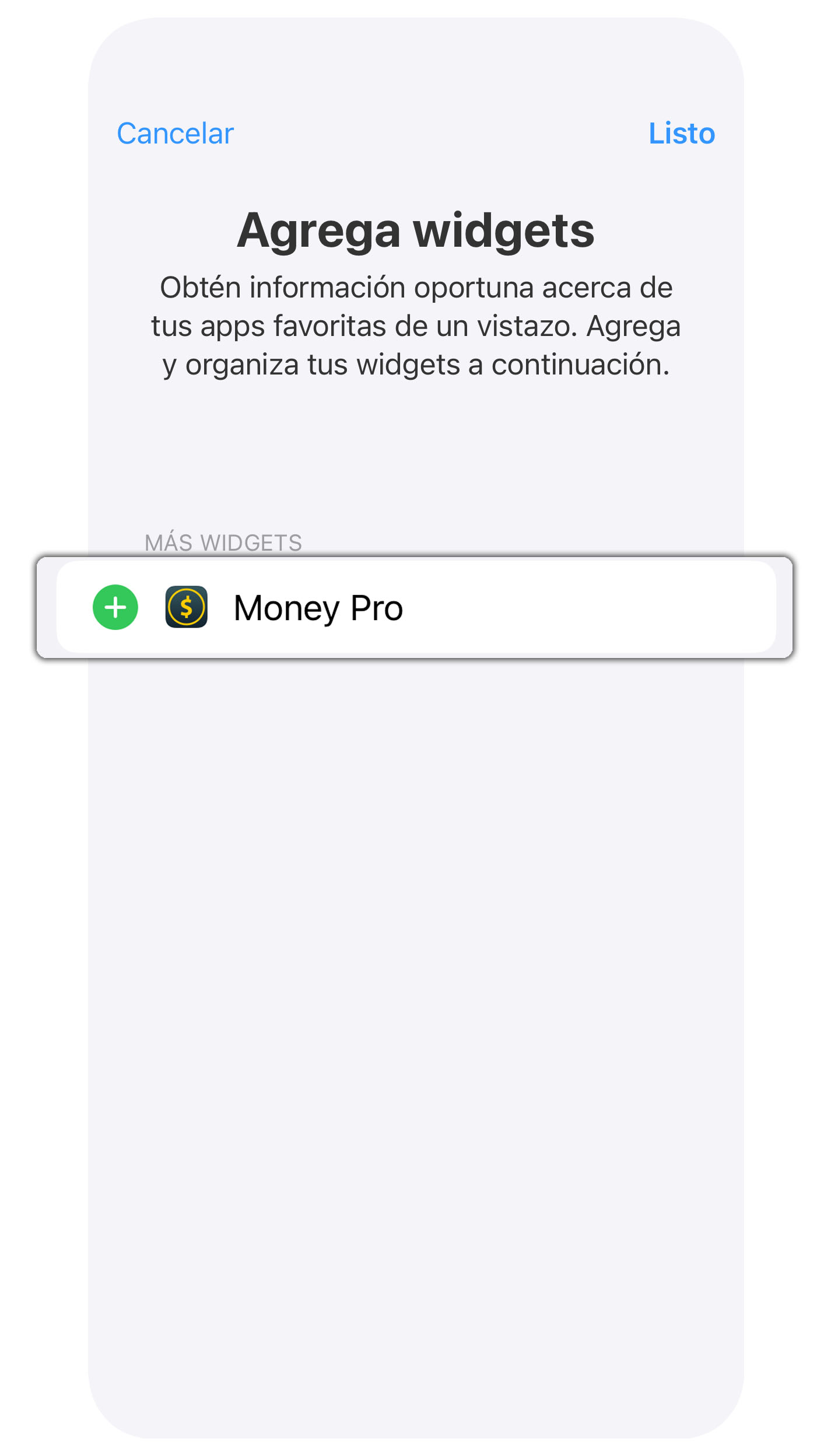 Money Pro - Widget del día actual - iPhone