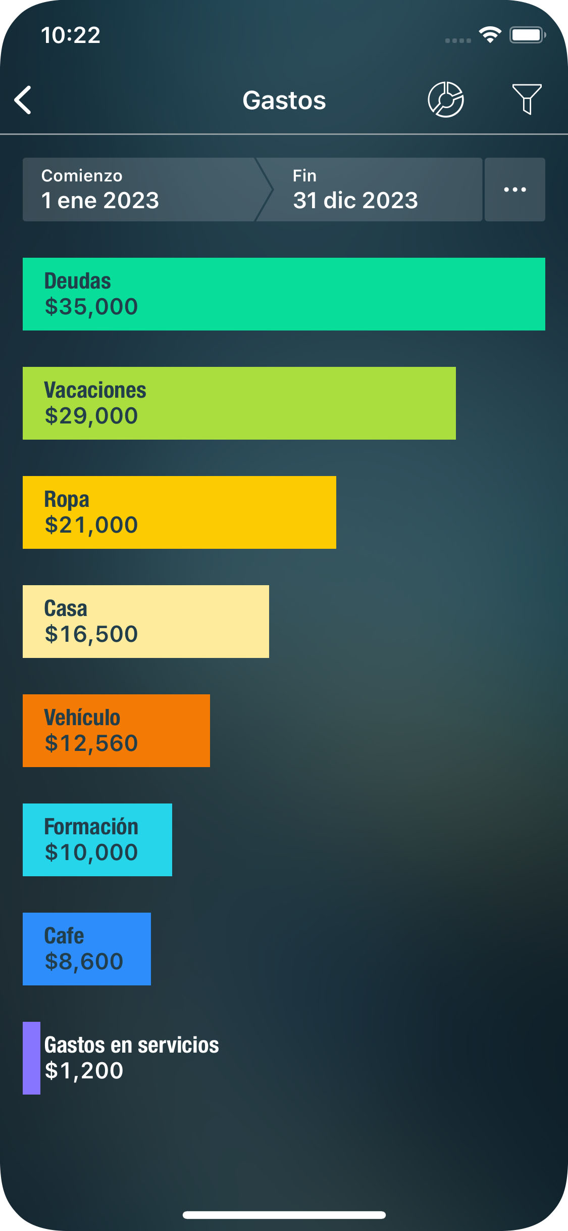 Money Pro - Informe de Ingresos / Gastos - iPhone