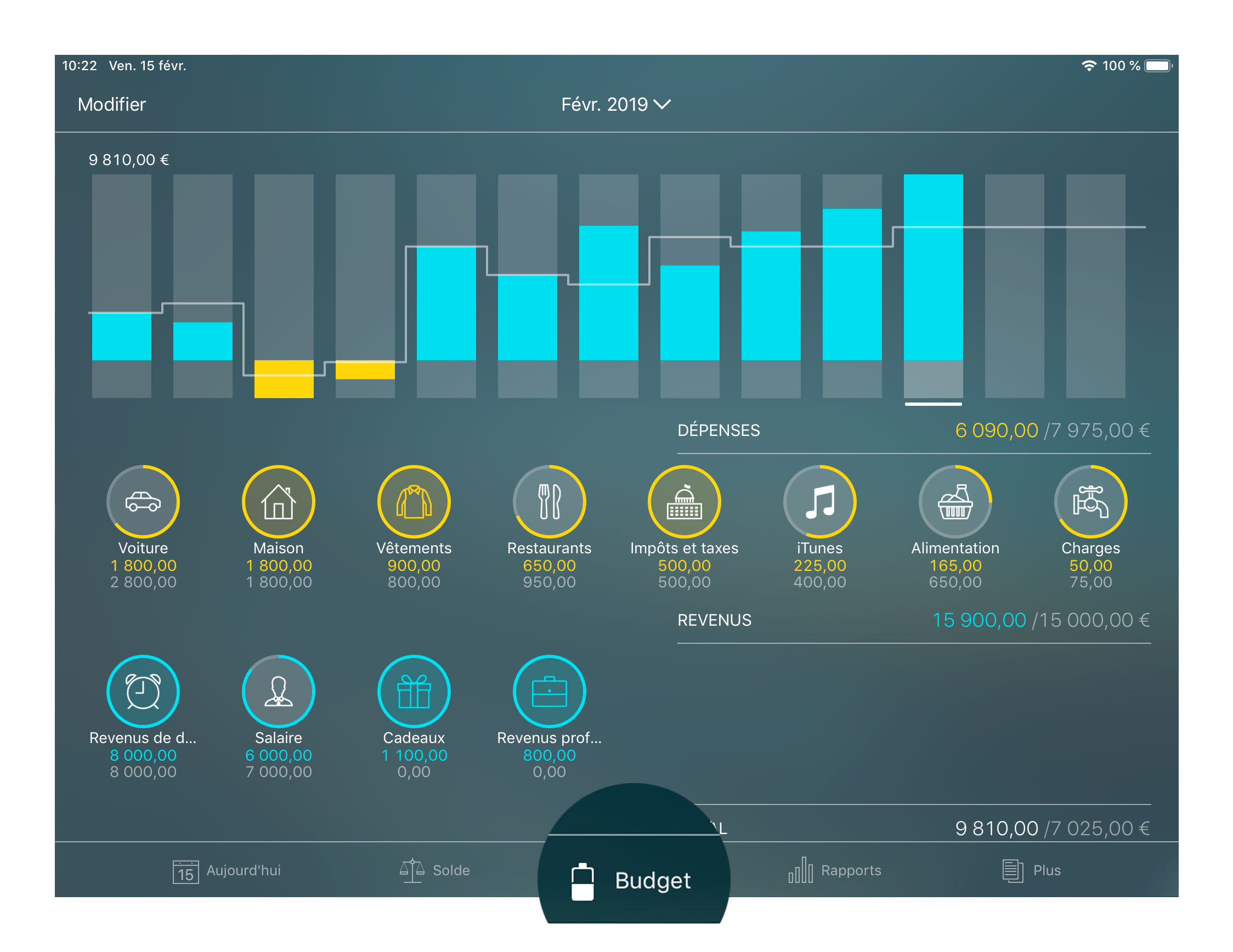 Money Pro - Budgets - iPad