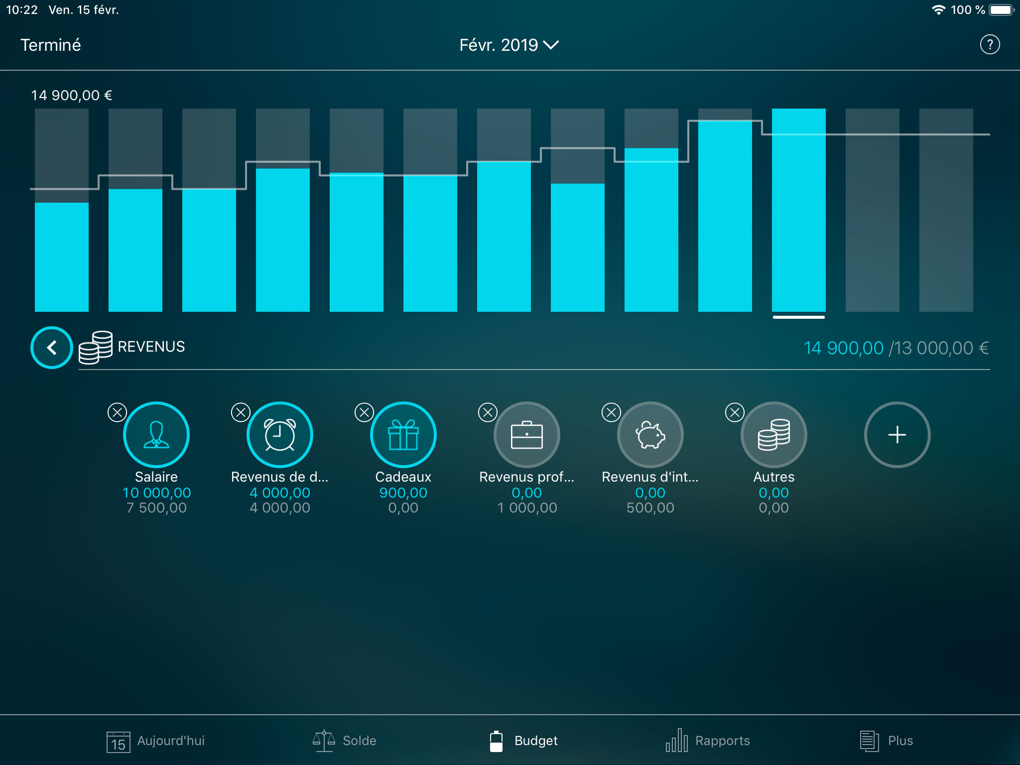 Money Pro - Configurer un budget - iPad