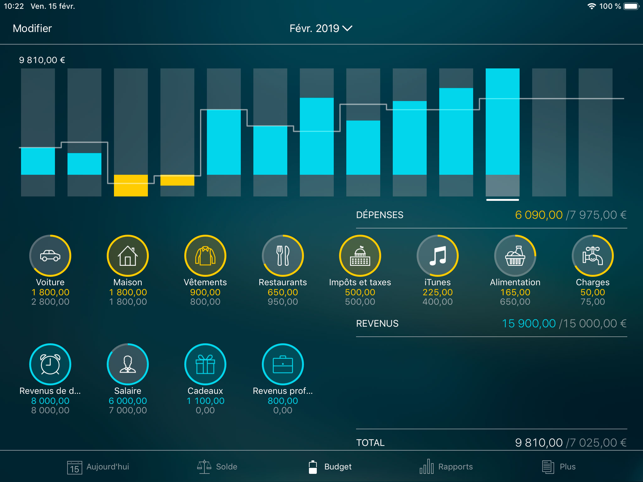 Money Pro - Suivre un budget (widget Budget) - iPad