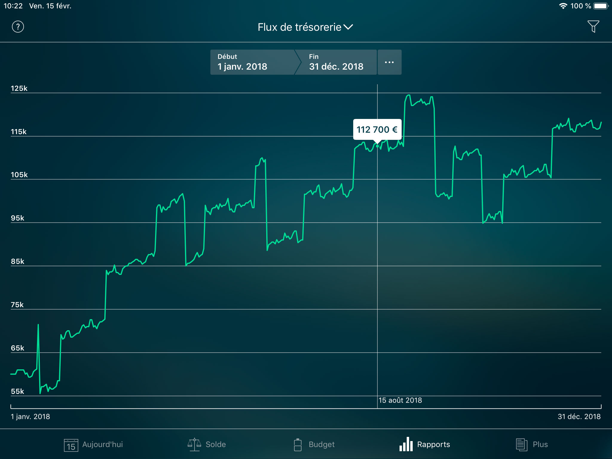 Money Pro - Rapport de Flux de trésorerie - iPad