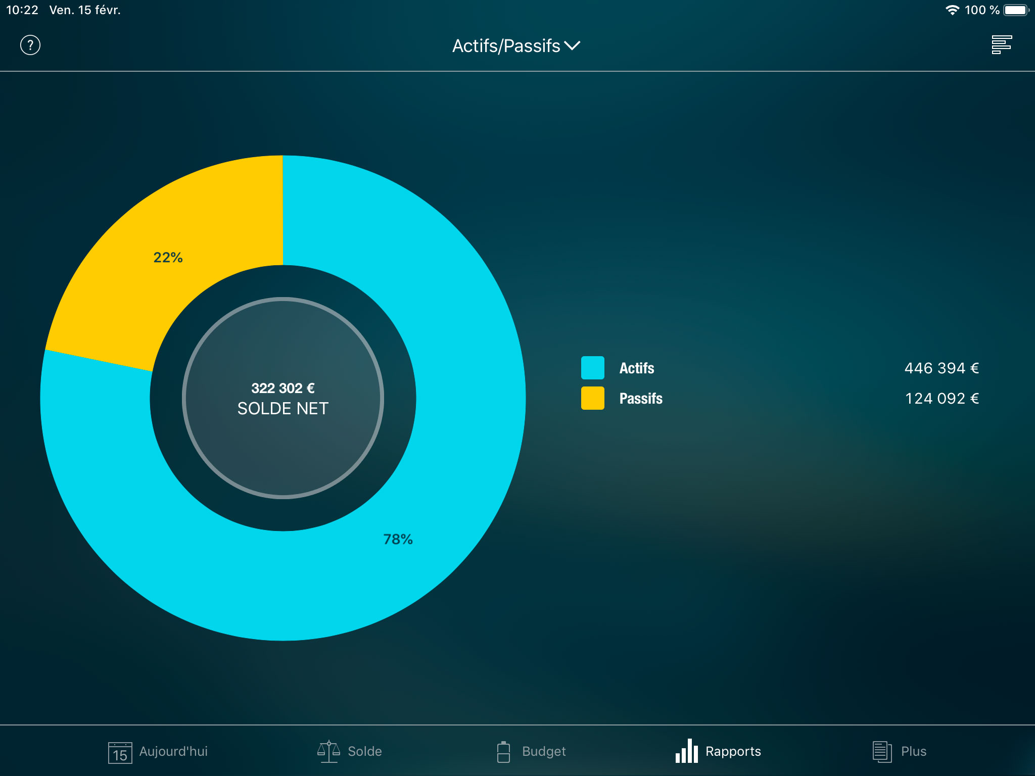 Money Pro - Rapport Actifs/Passifs - iPad