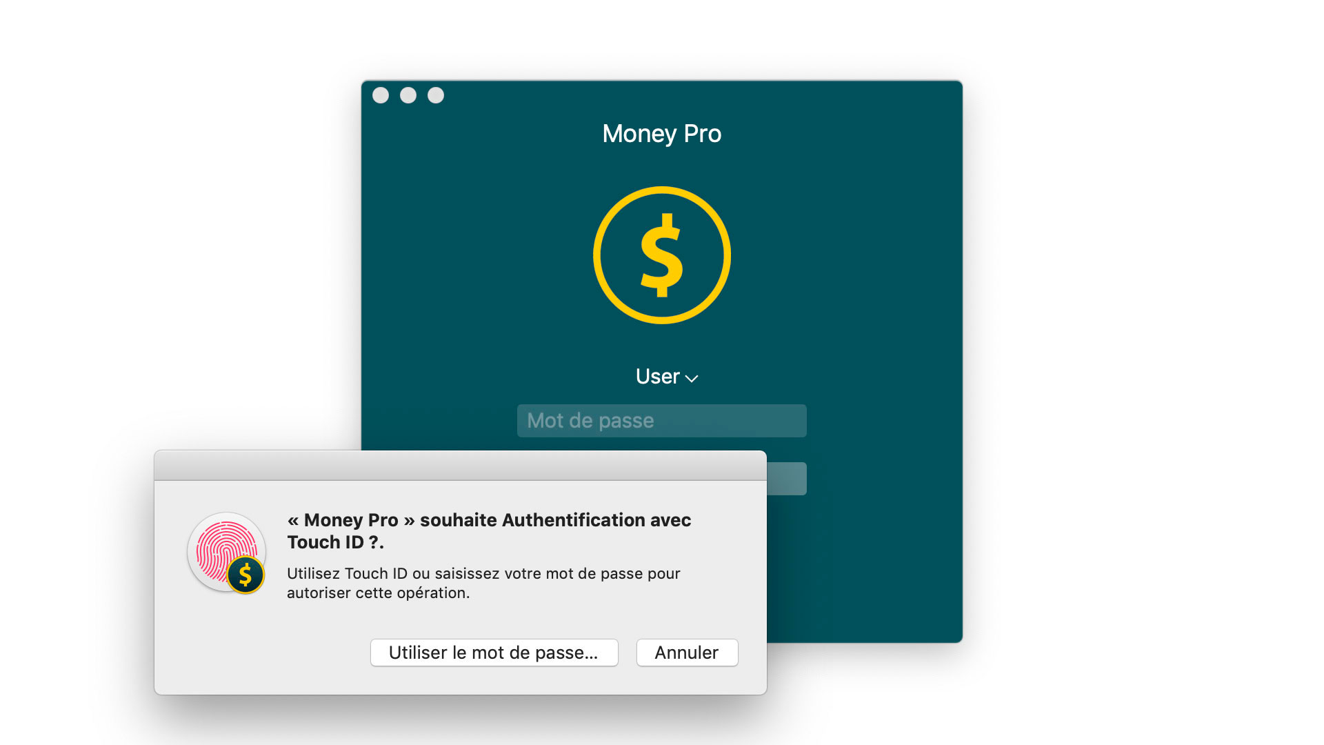 Money Pro - Touch ID (Face ID) - Mac