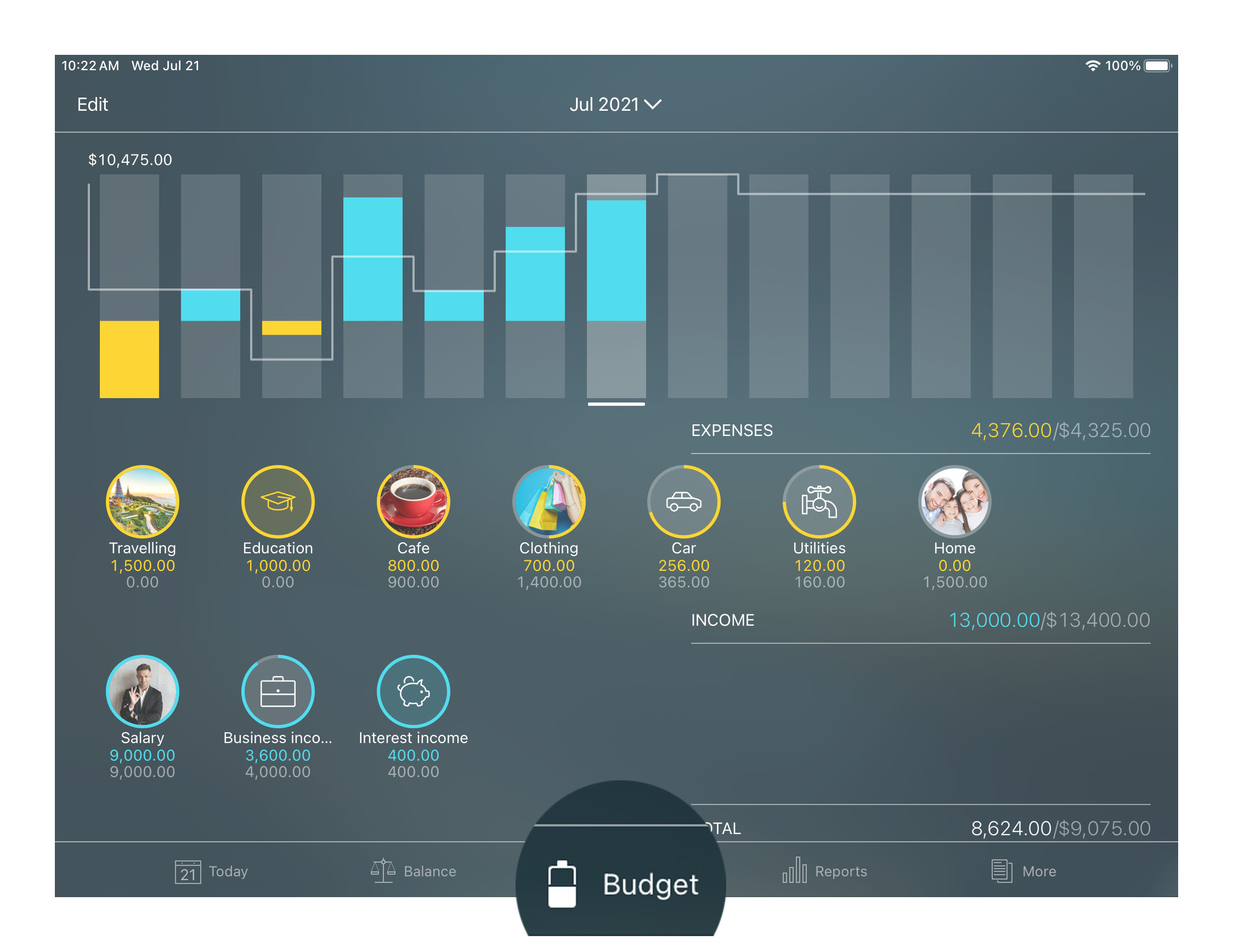 money budget planner macbook