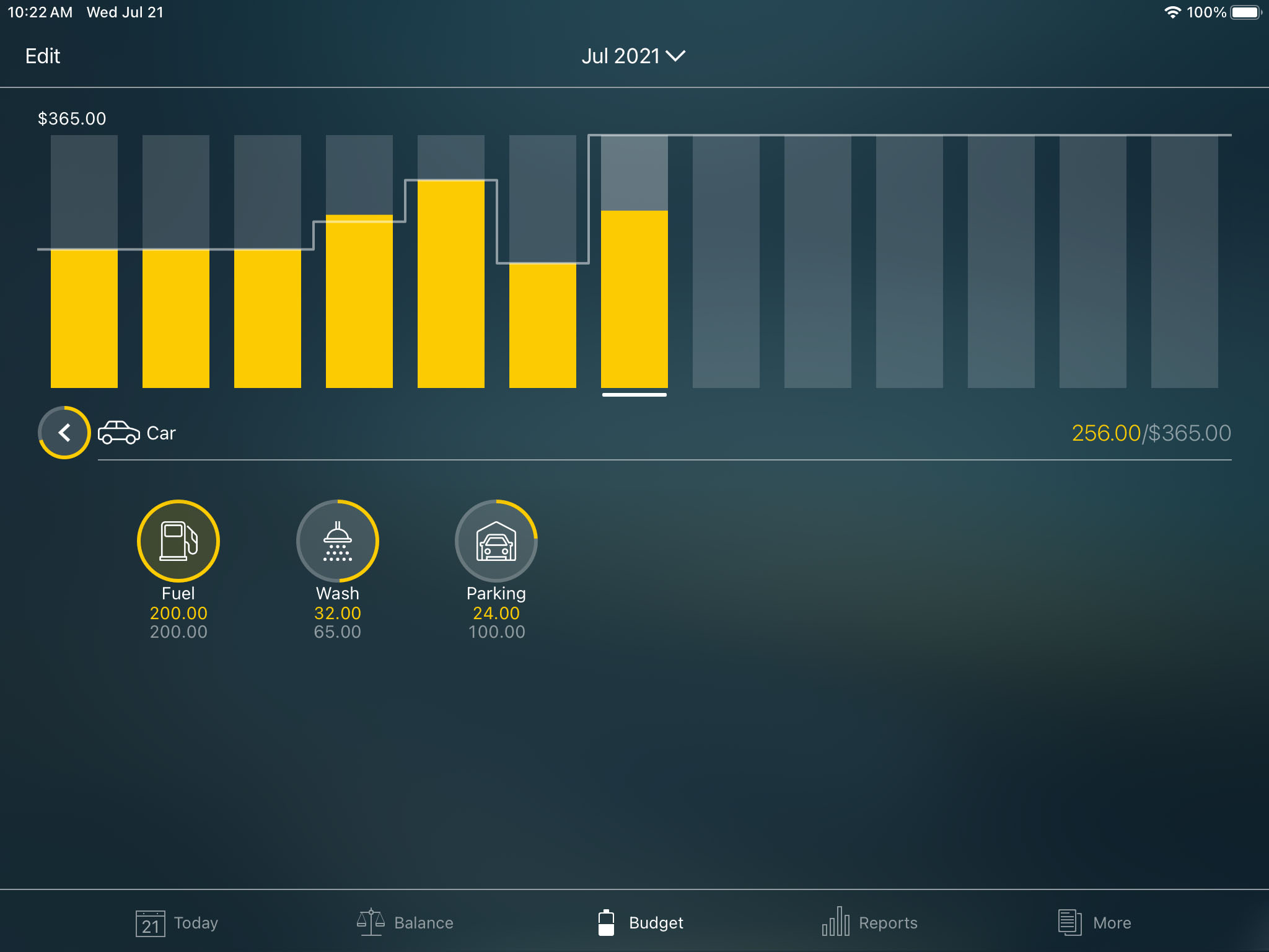 Money Pro - Categories, subcategories - iPad