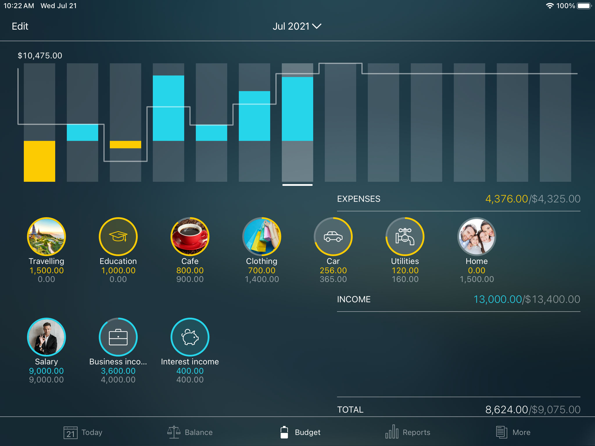 Money Pro - Tracking a budget (Budget widget) - iPad