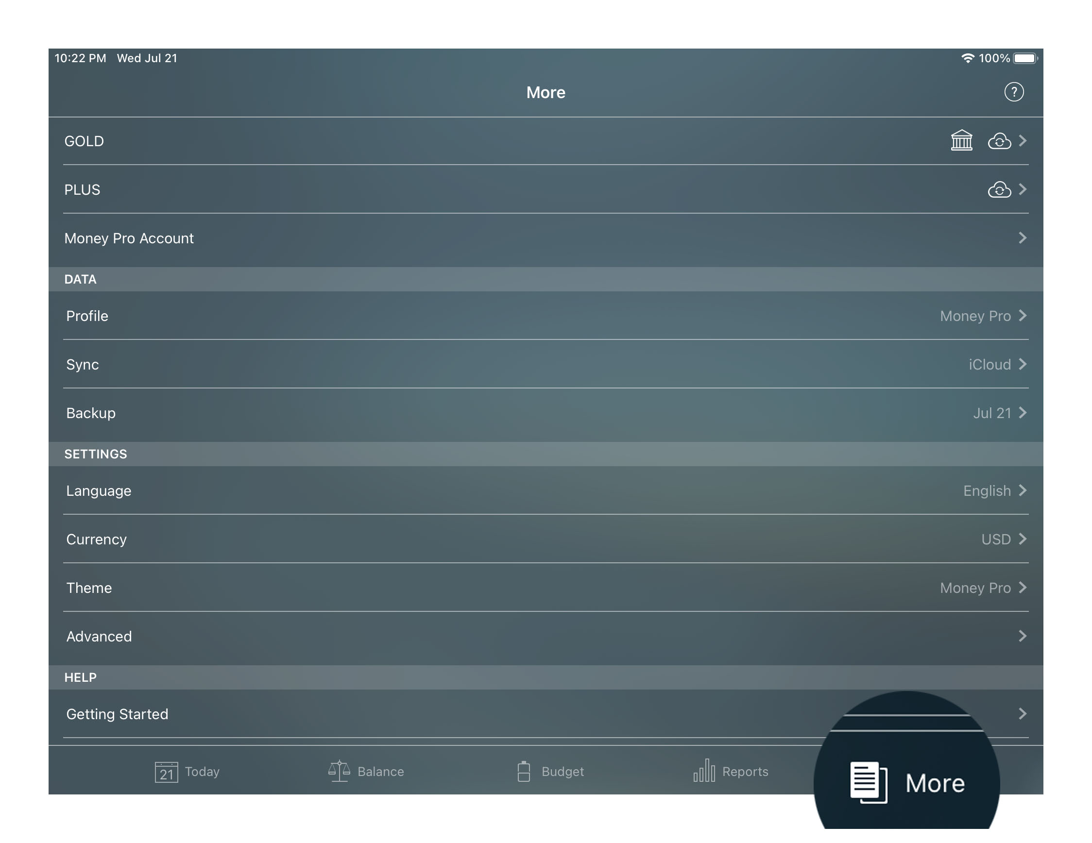 Money Pro - More (backup, profiles, sync) - iPhone
