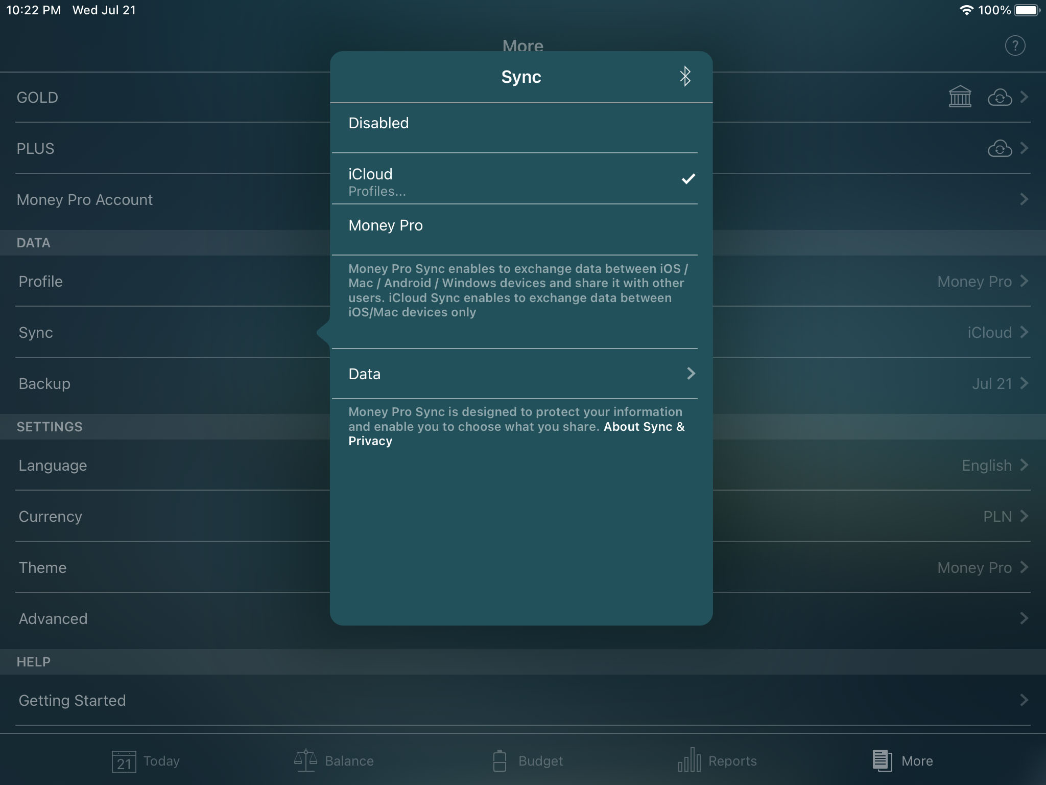 Money Pro - iCloud sync (iOS, Mac) - iPad