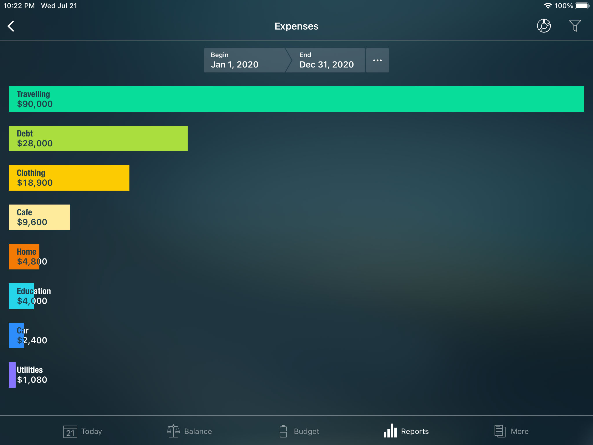 Money Pro - Income/Expenses report - iPad