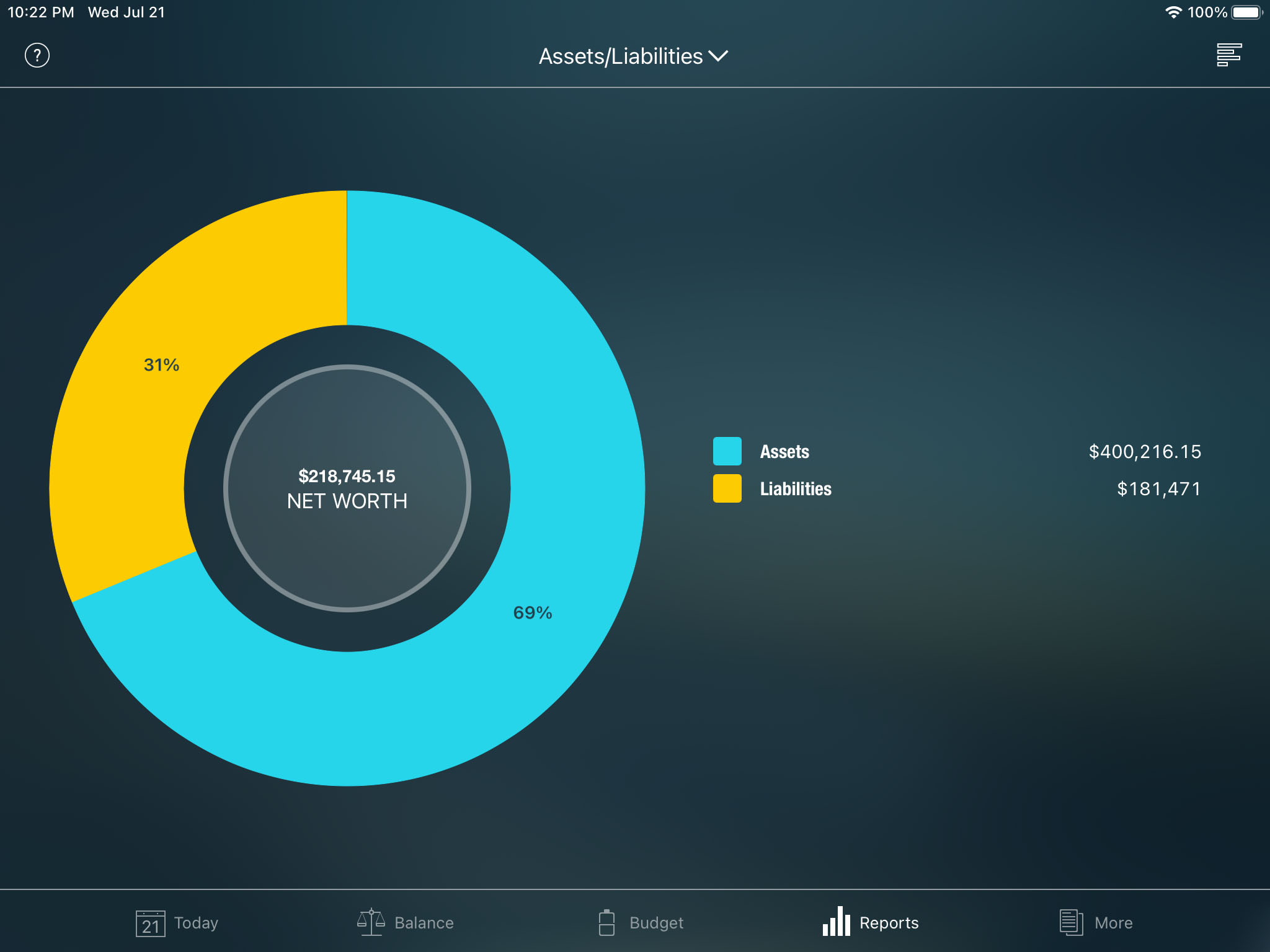 Money Pro - Assets/Liabilities report - iPad