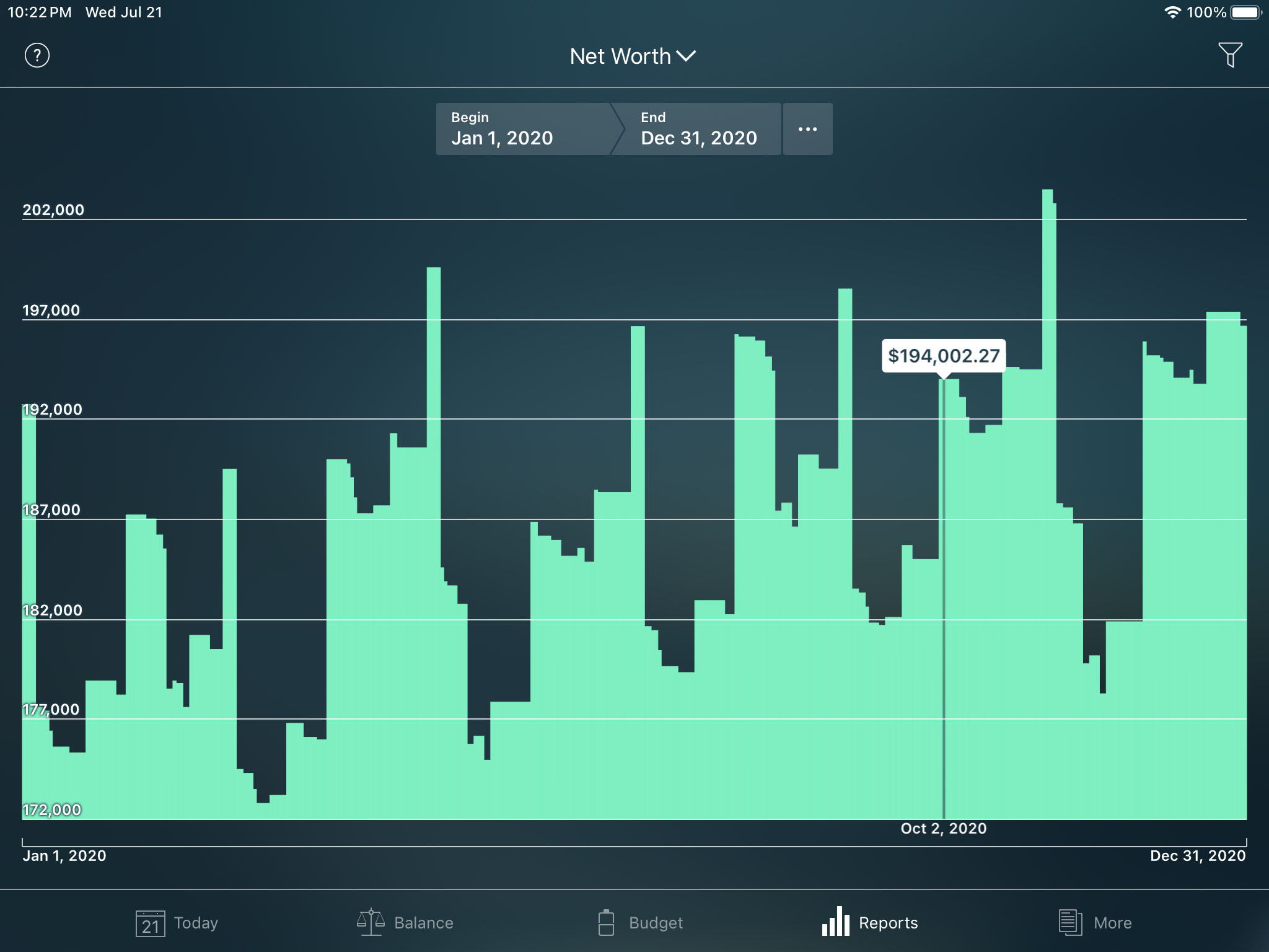 Money Pro - Net Worth report - iPad