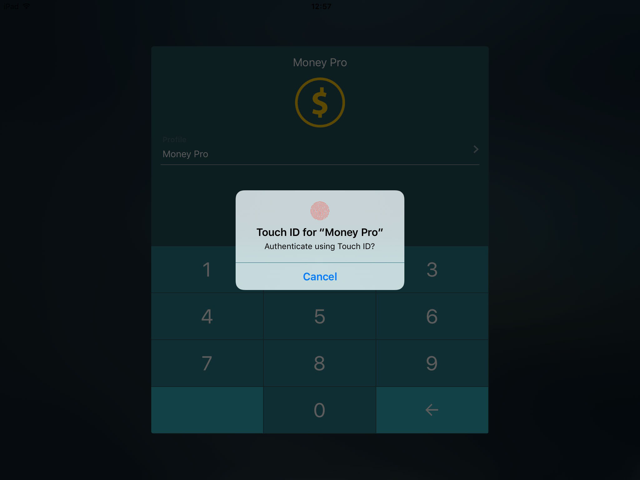 Money Pro - Touch ID (Face ID) - iPad