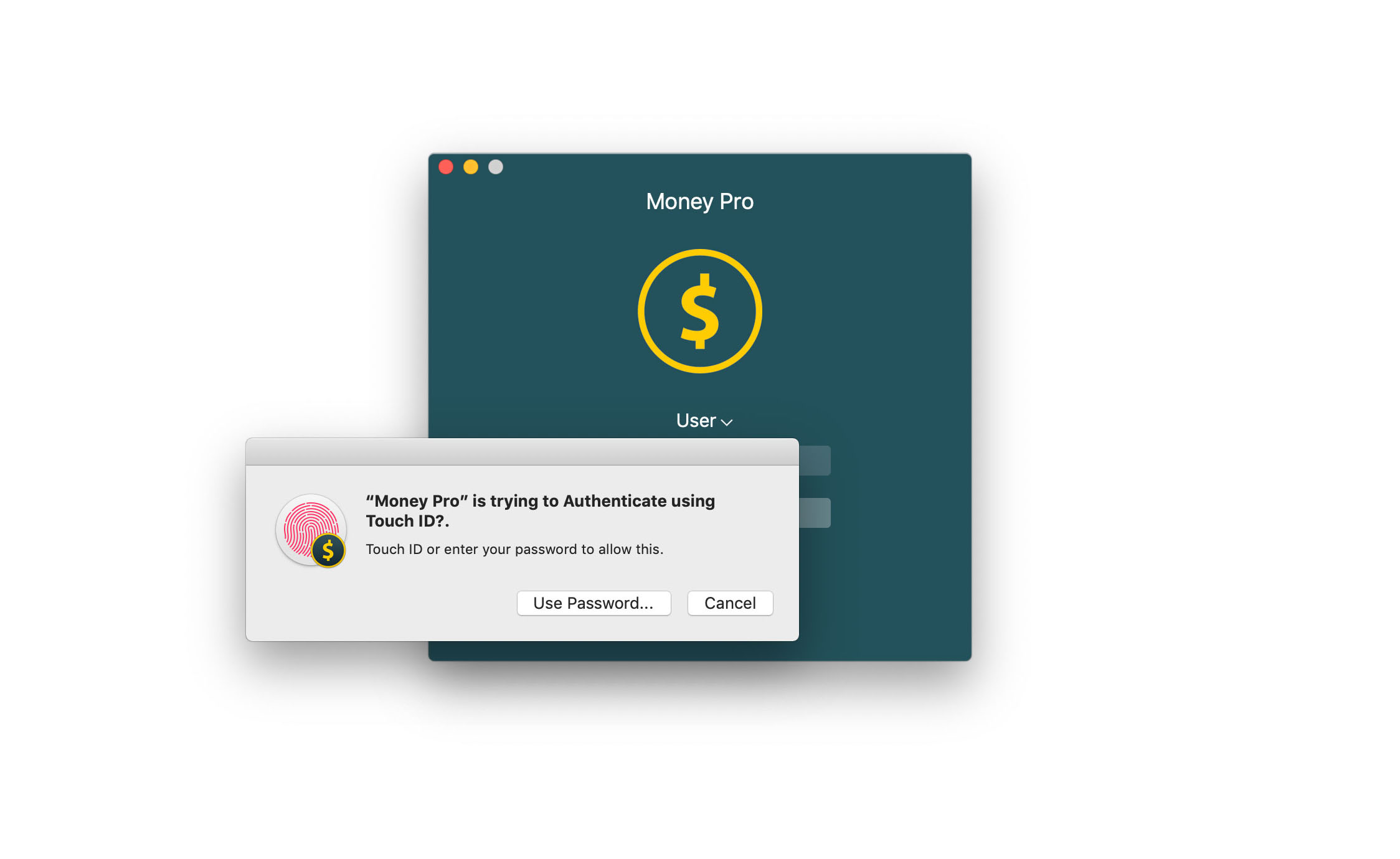 money pro v.1.8.6