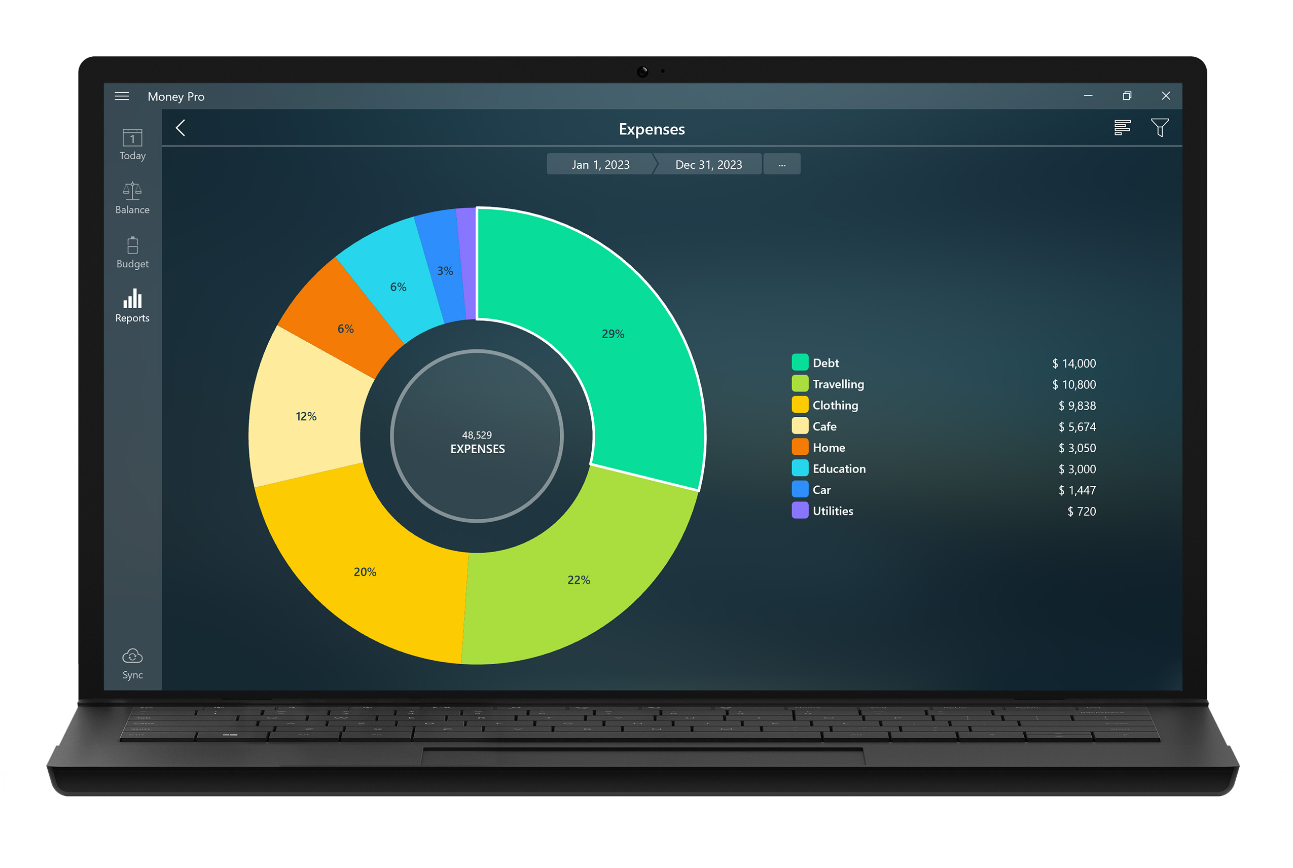 Money Pro - Detailed reports