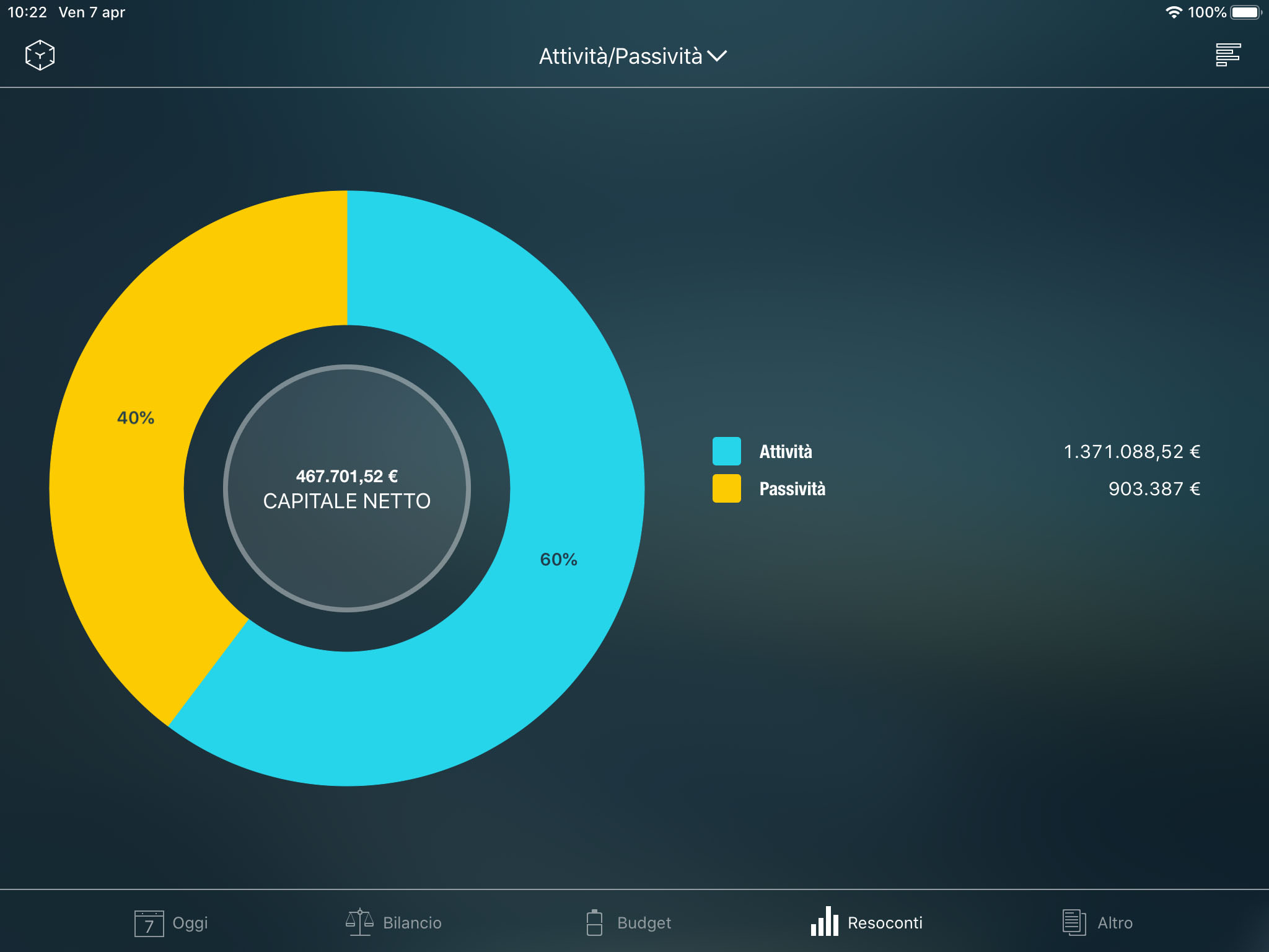 Money Pro - Resoconto Attività/Passività - iPad