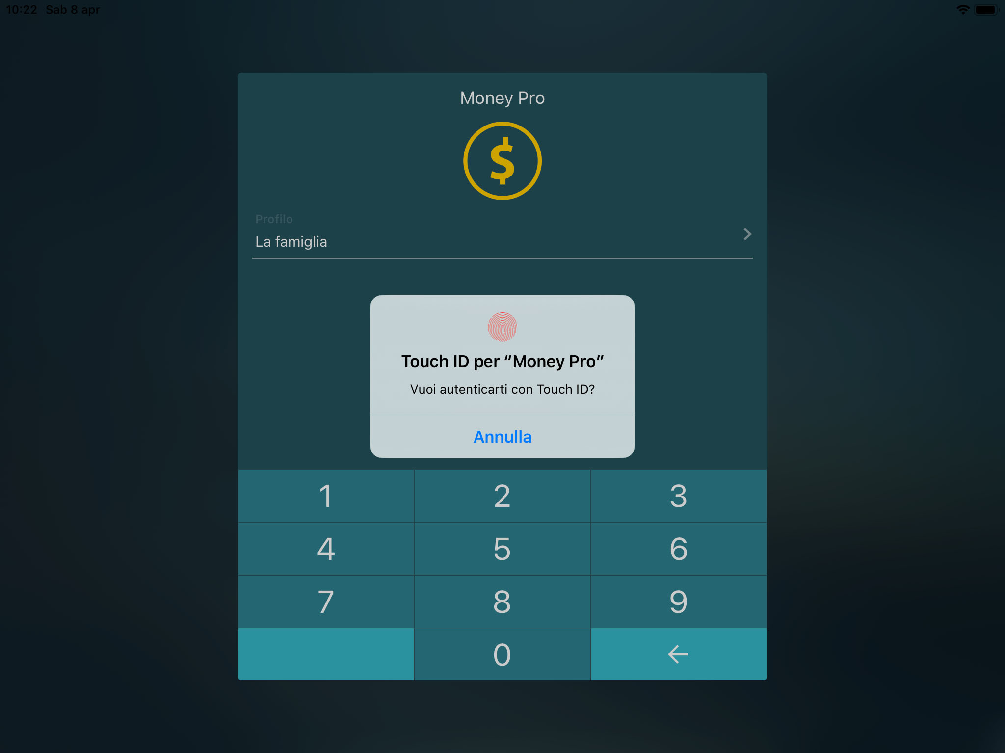 Money Pro - Touch ID (Face ID) - iPad