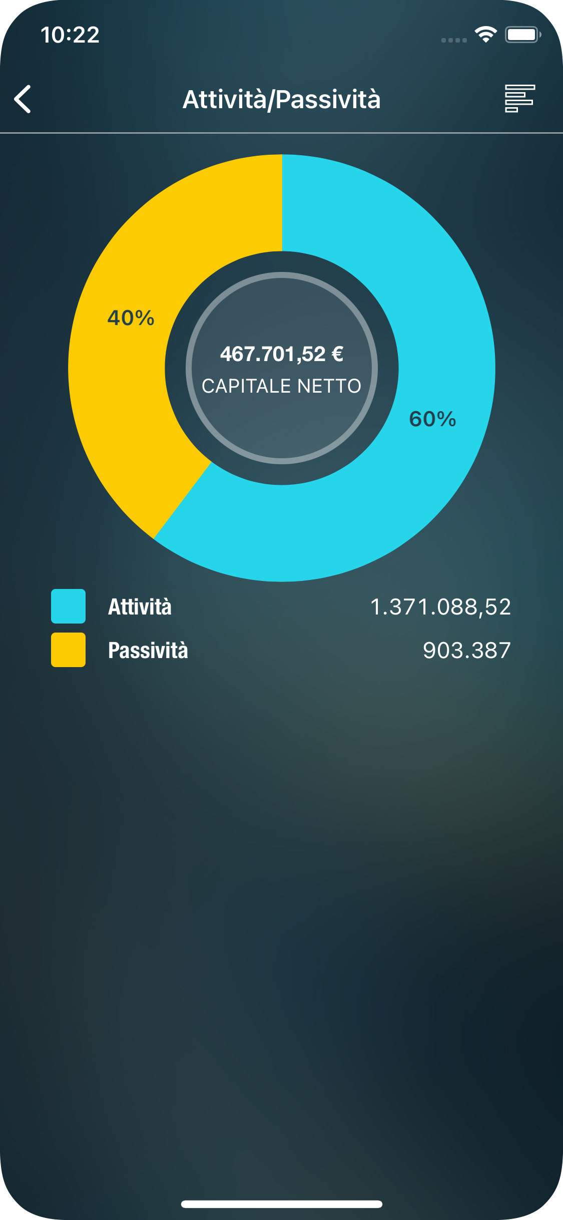 Money Pro - Resoconto Attività/Passività - iPhone