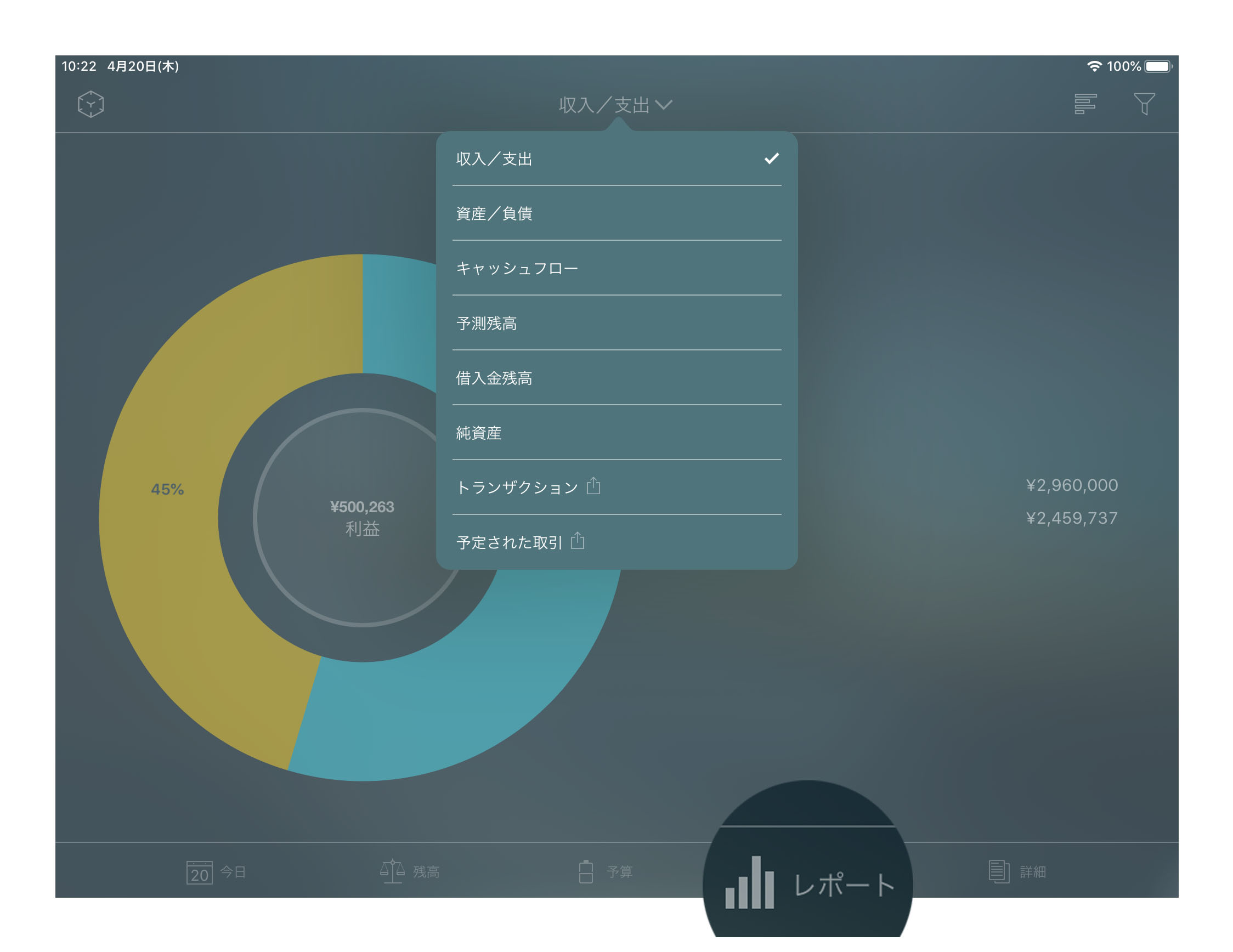 Money Pro - レポート - iPad