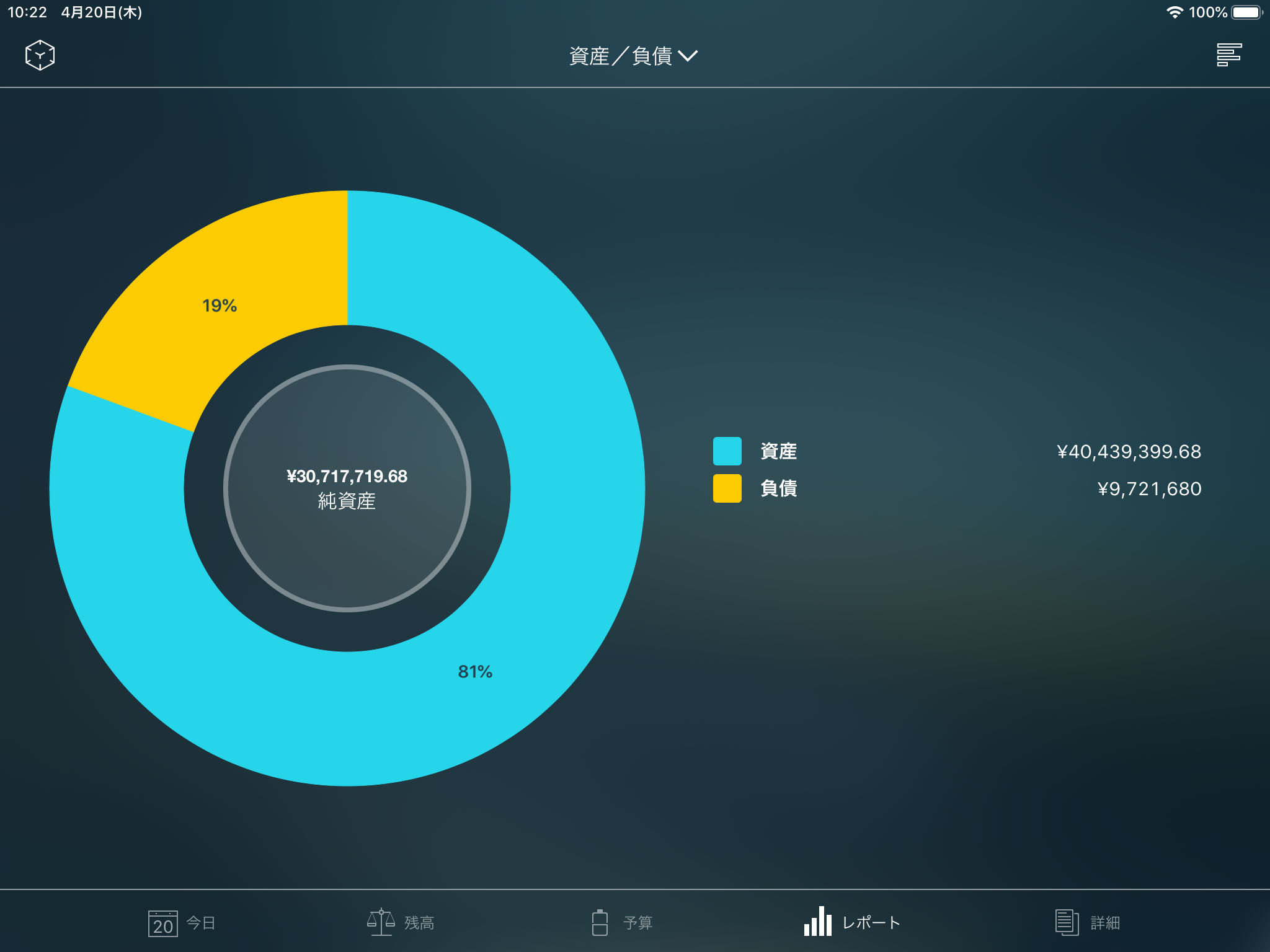 Money Pro - 資産/ 負債（Assets/Liabilities）レポート - iPad