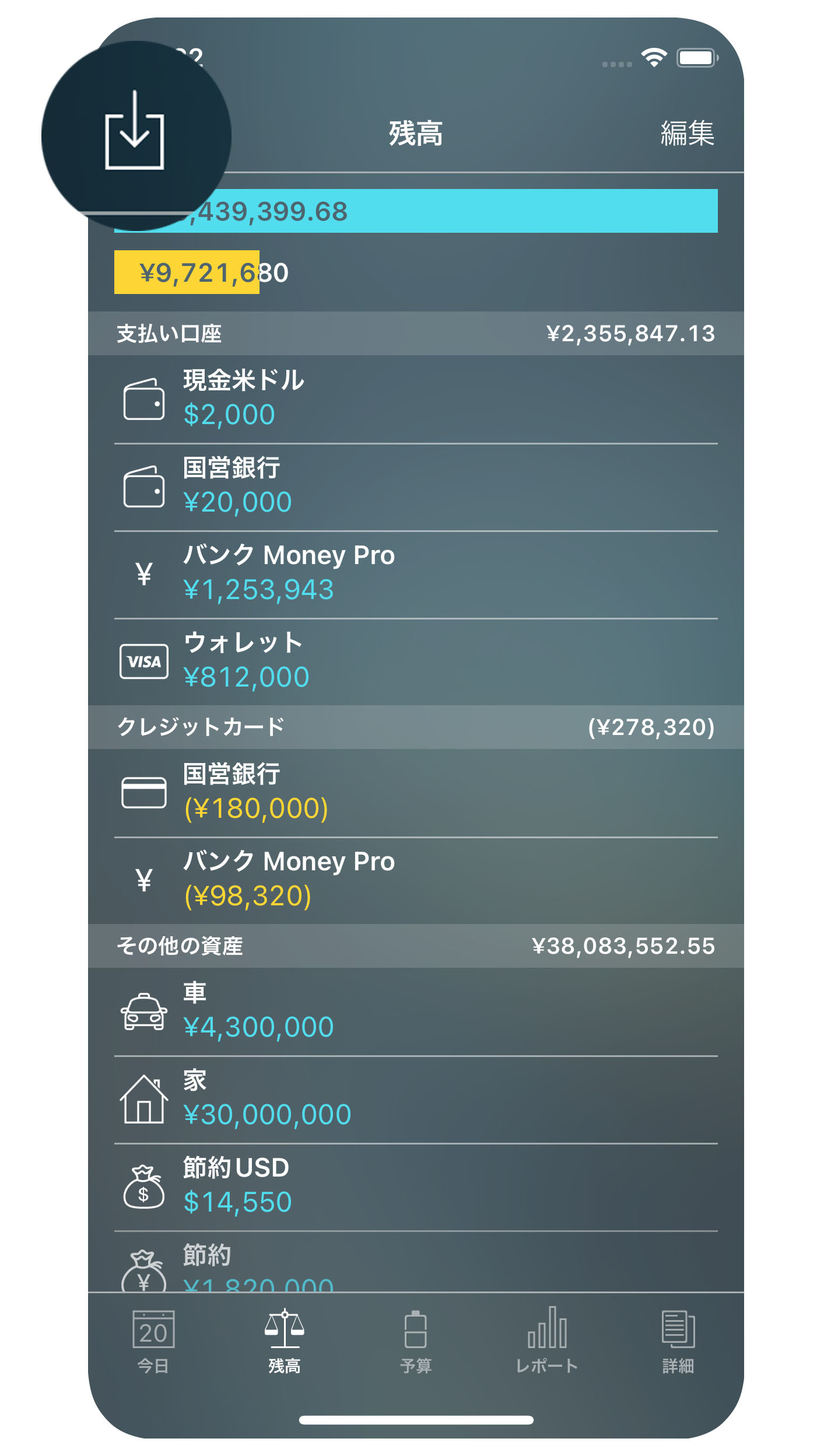 Money Pro - OFX、CSV のインポート - iPhone