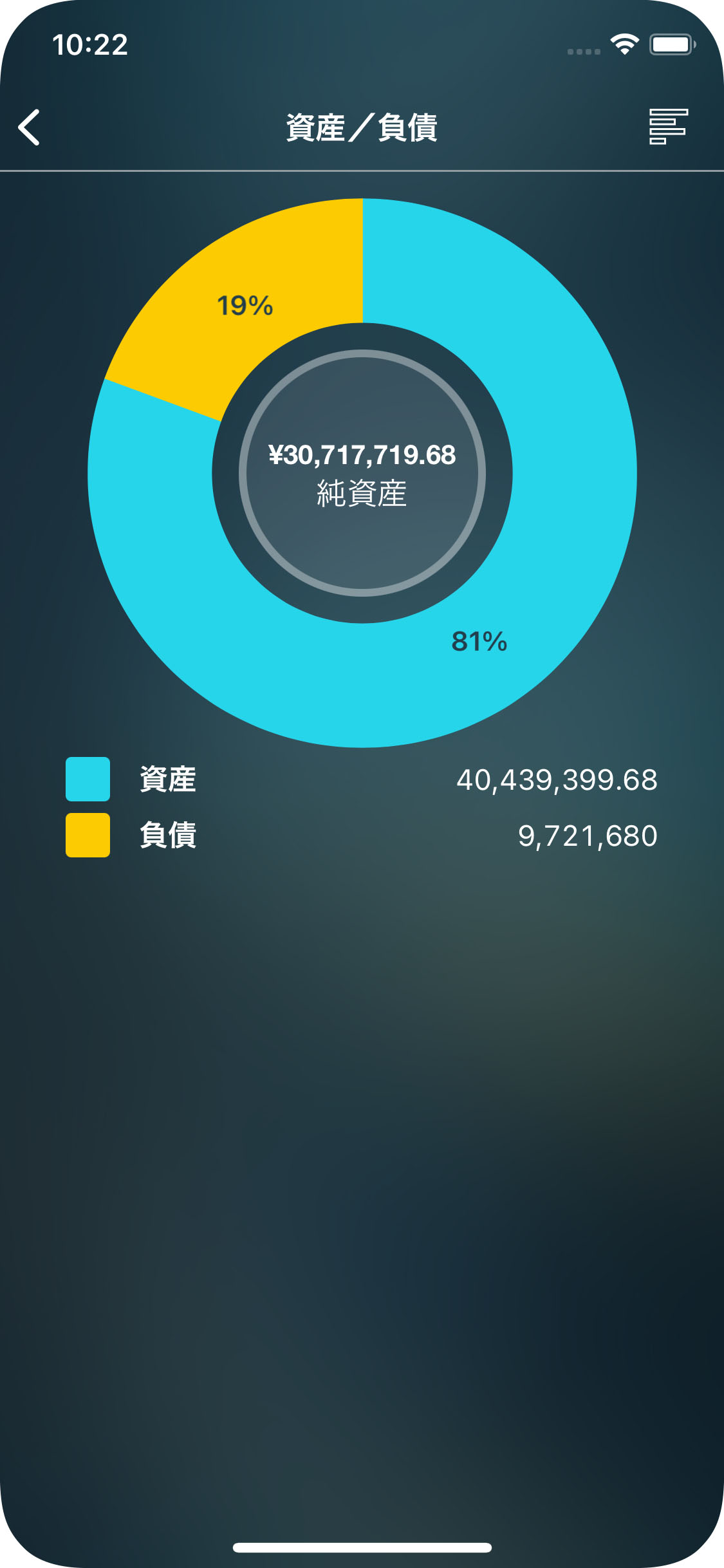 Money Pro - 資産/ 負債（Assets/Liabilities）レポート - iPhone