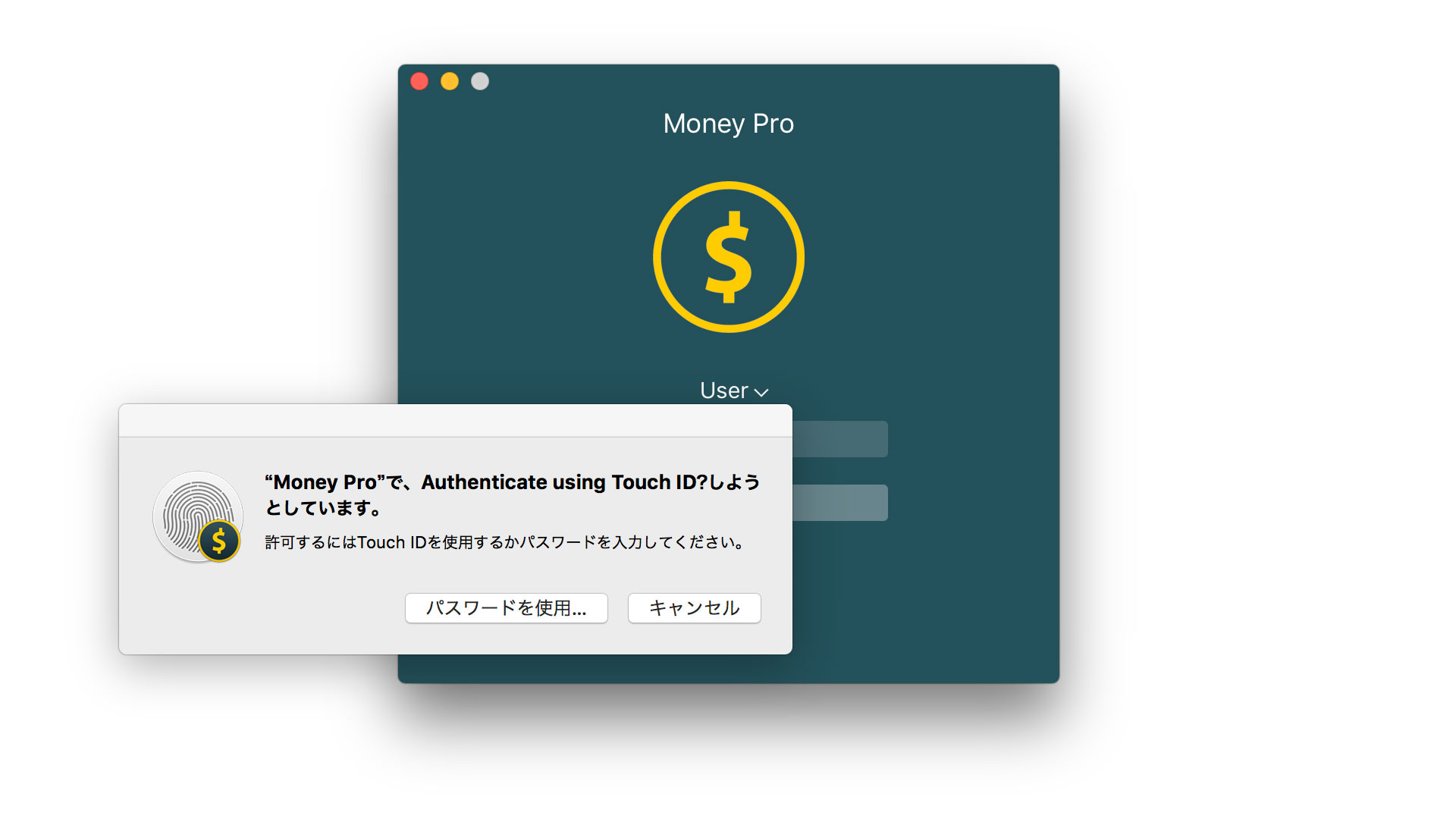 Money Pro - Touch ID (Face ID) - Mac