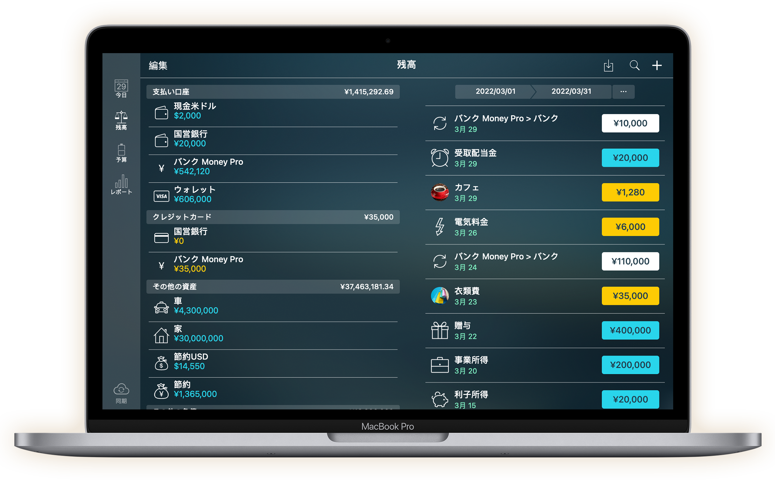 Money Pro for Mac - チェックブック登録
