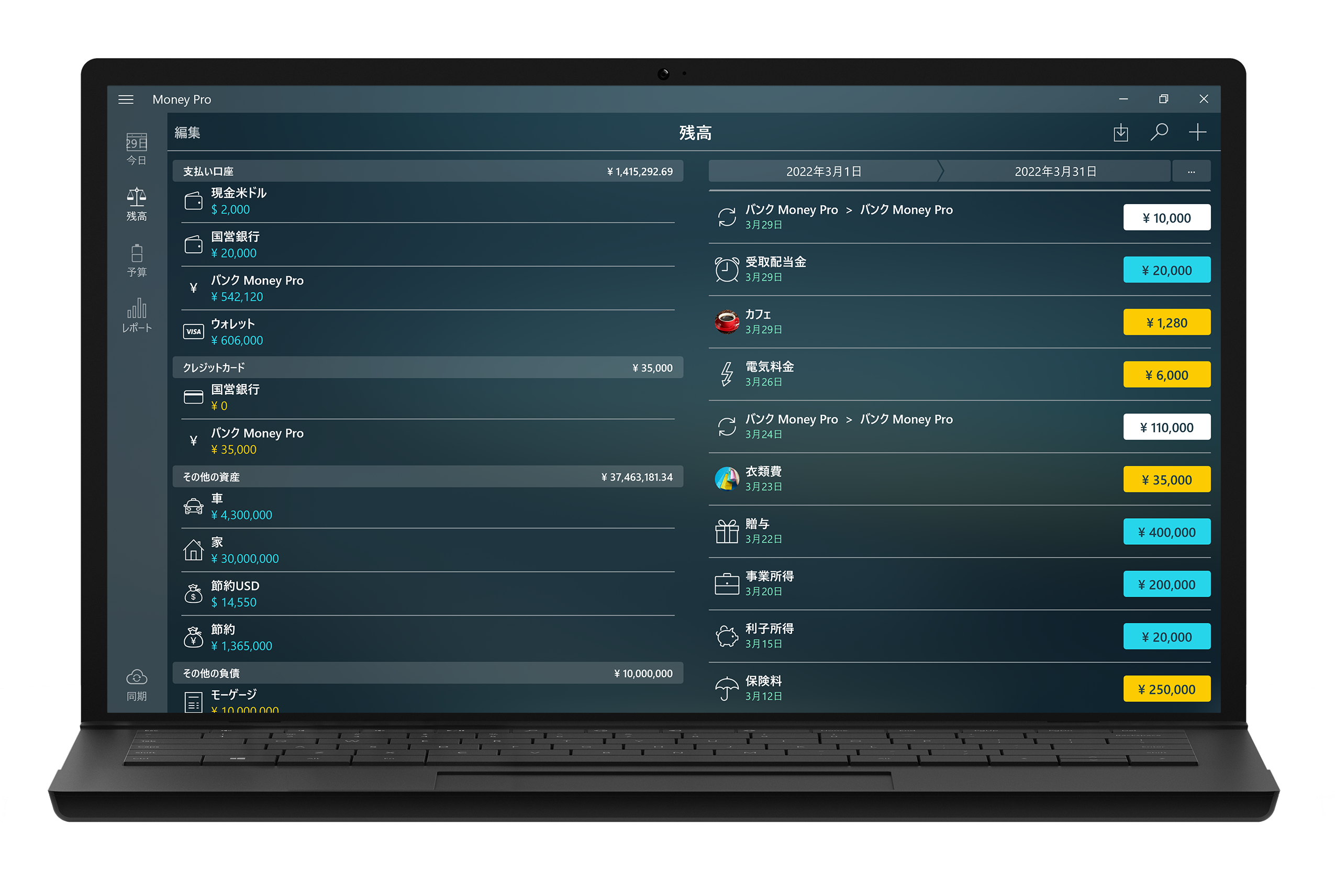 Money Pro for Mac - チェックブック登録