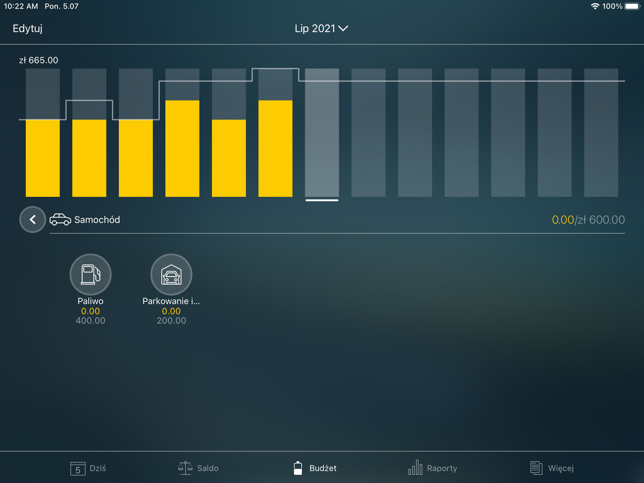 Money Pro - Kategorie i podkategorie - iPad