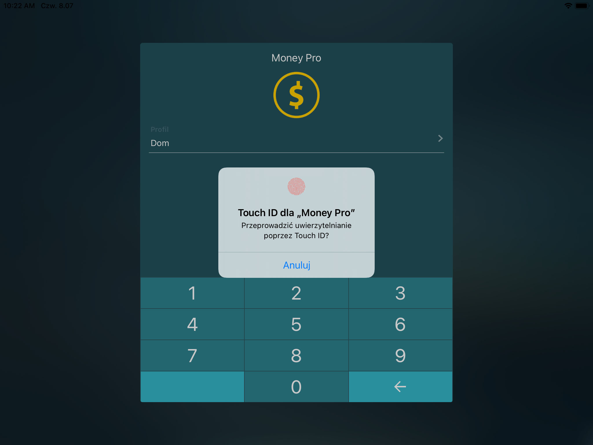 Money Pro - Touch ID (Face ID) - iPad