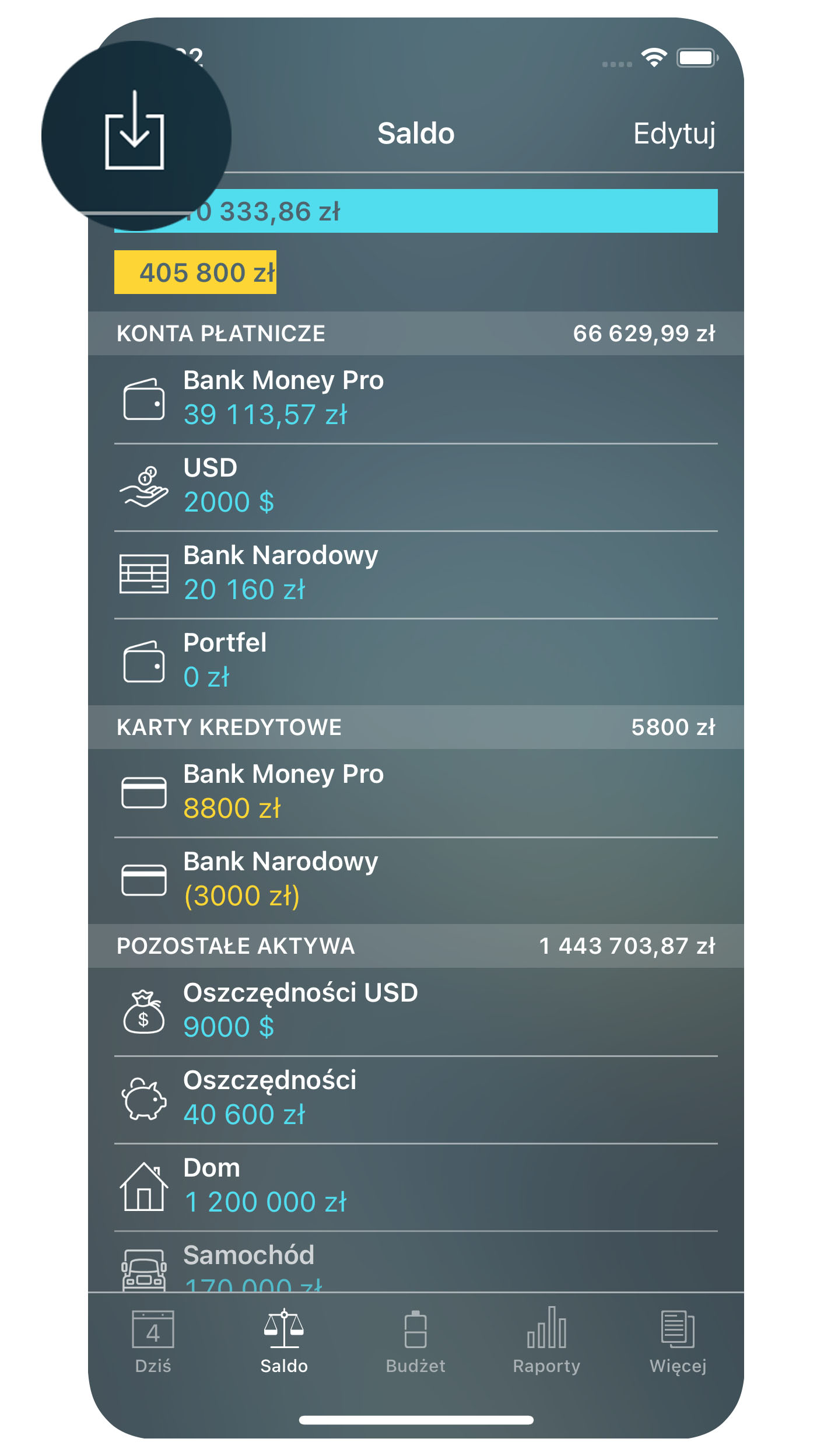 Money Pro - Import OFX, CSV - iPhone