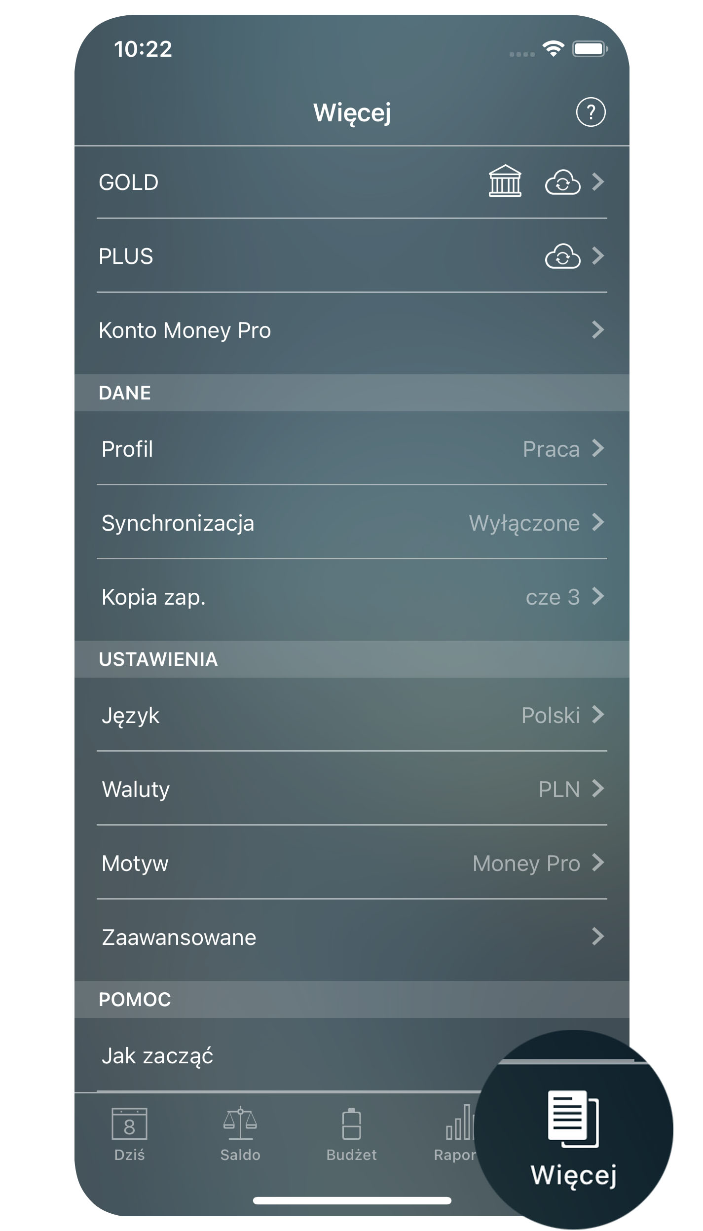Money Pro - Więcej (kopije zapasowe, profile, synchronizacja) - iPhone