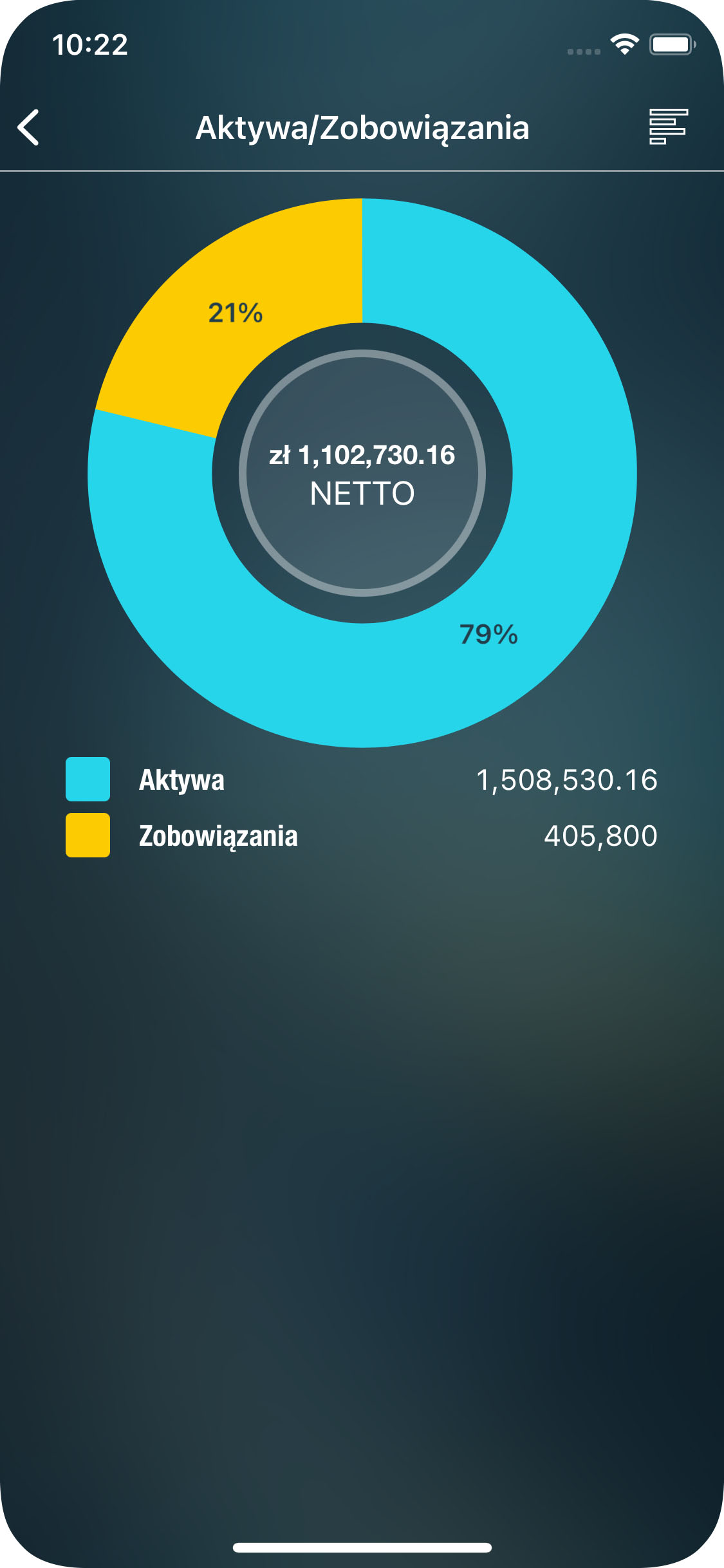 Money Pro - Raport Aktywa/Zobowiązania - iPhone