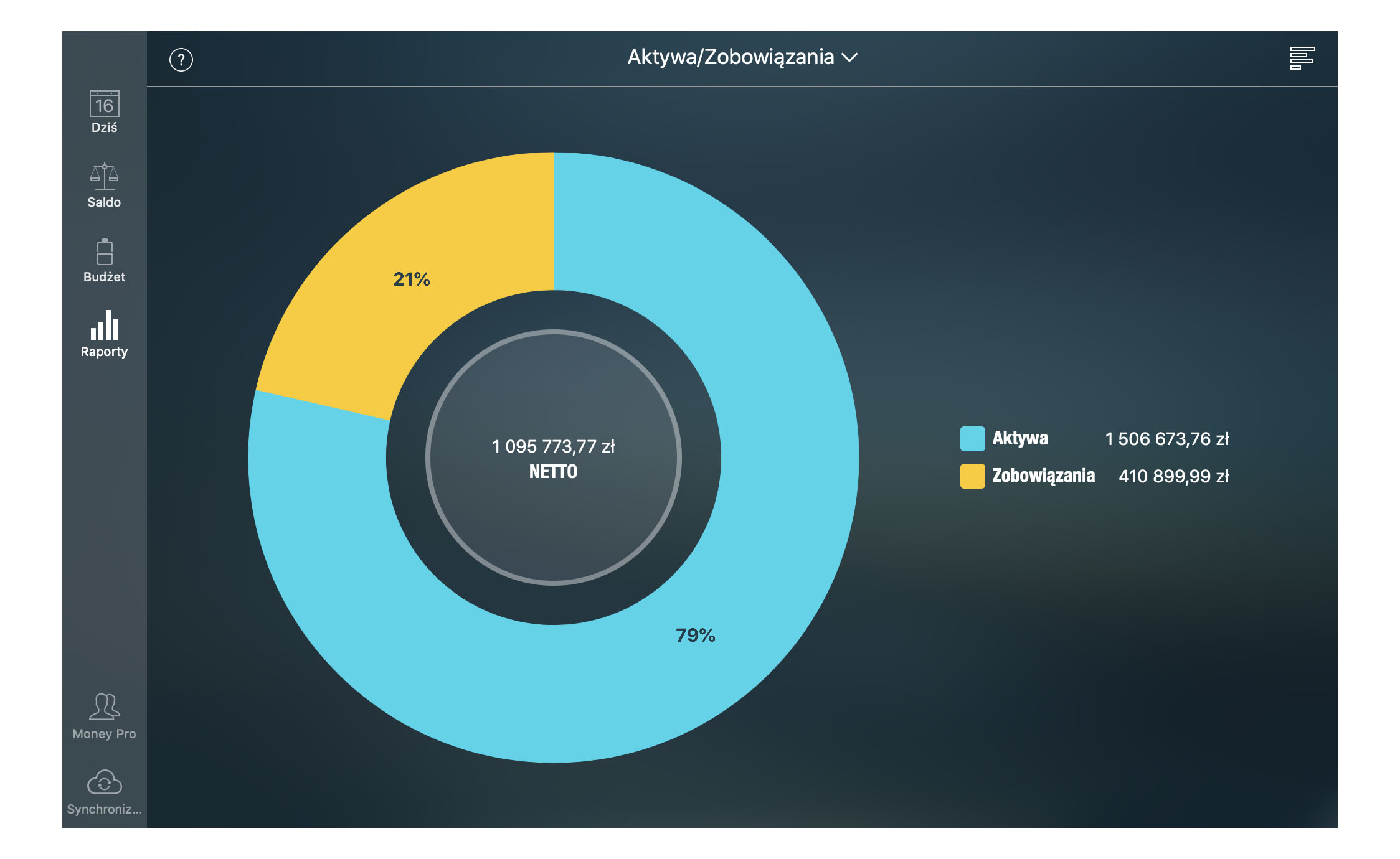 Money Pro - Raport Aktywa/Zobowiązania - Mac