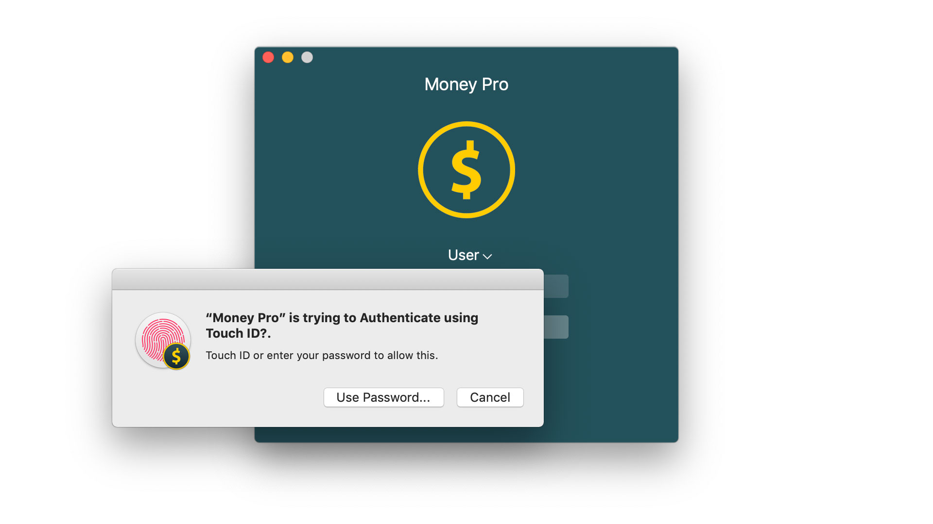 Money Pro - Touch ID (Face ID) - Mac