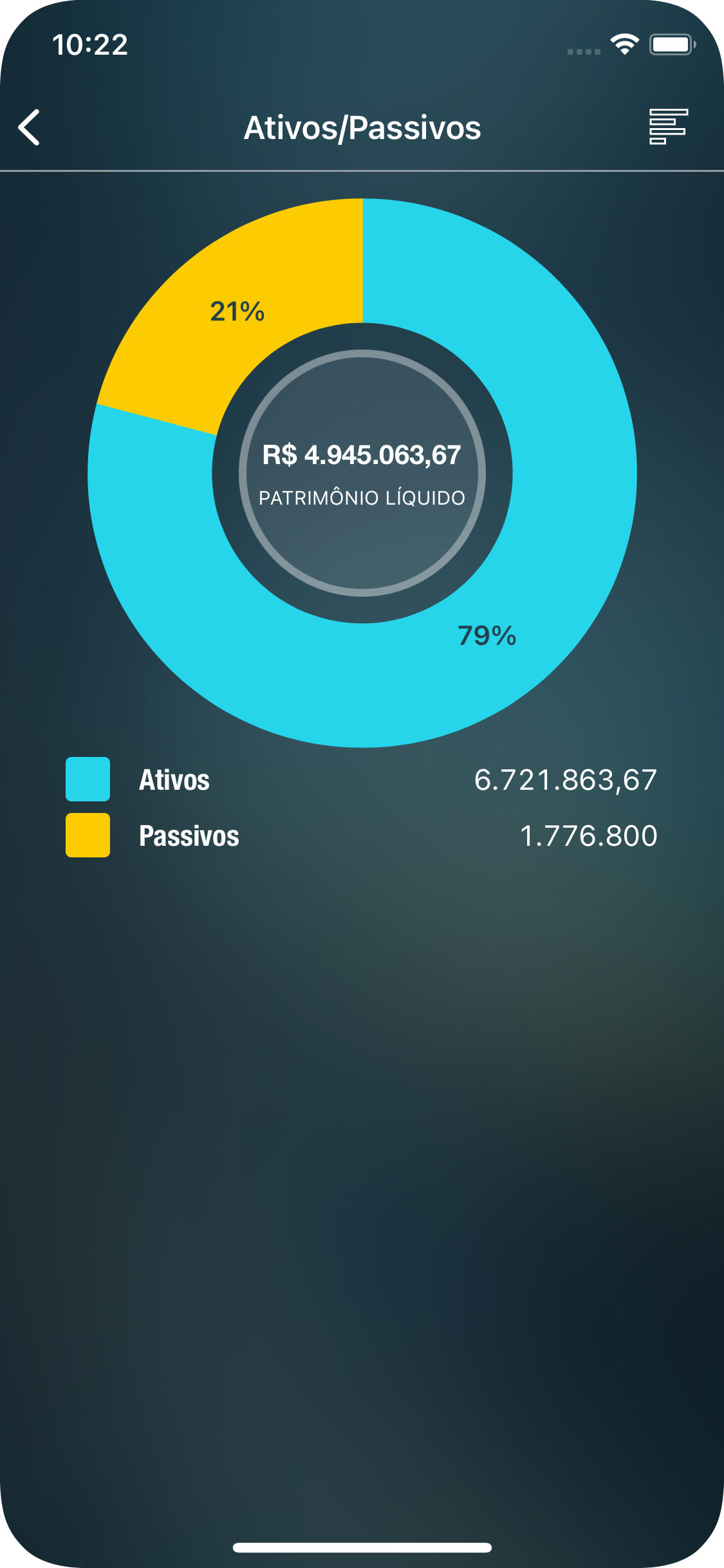 Money Pro - Relatório de Ativos/passivos - iPhone